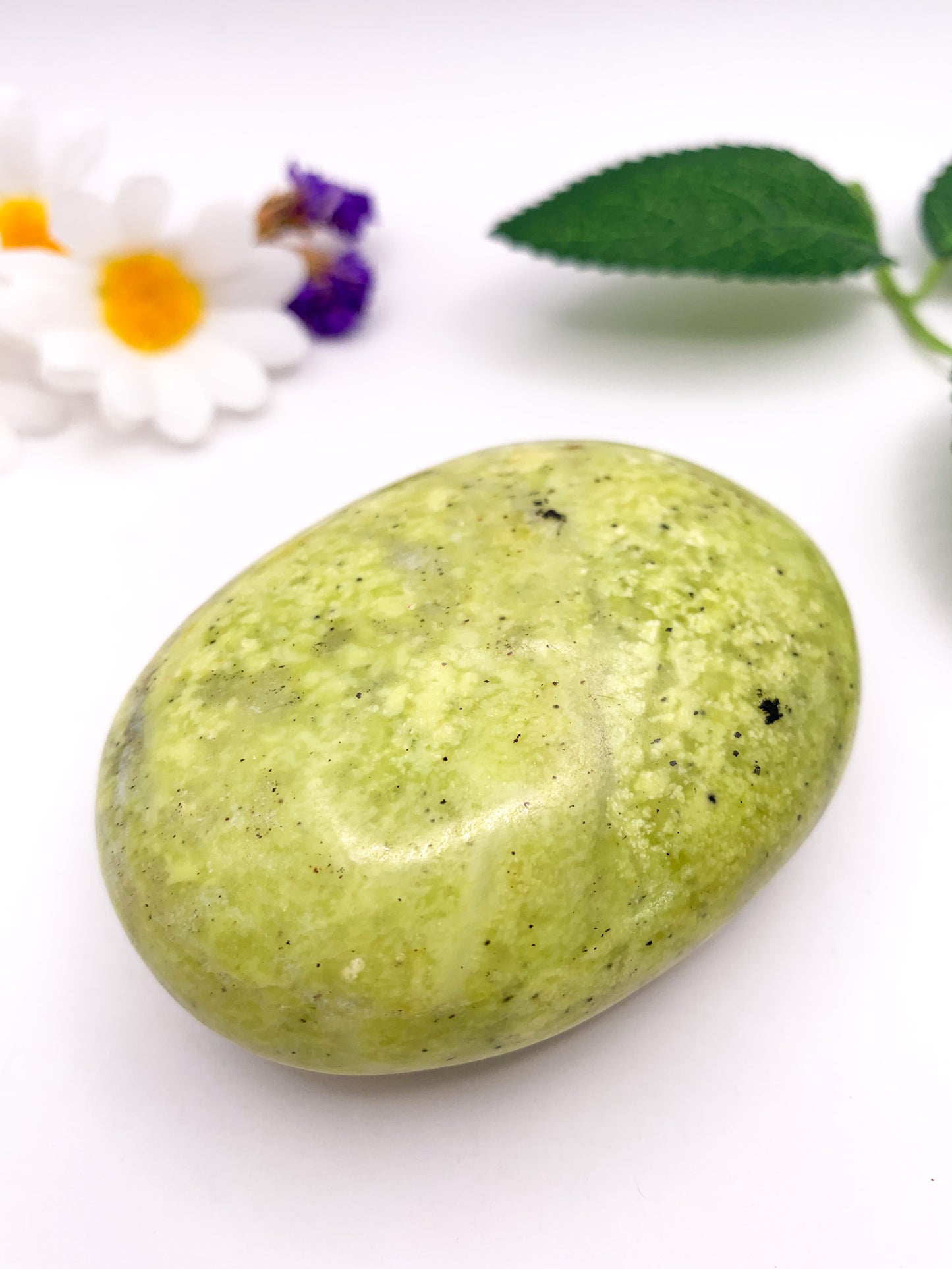 Serpentine Palm Stone - Crystal Love Treasures