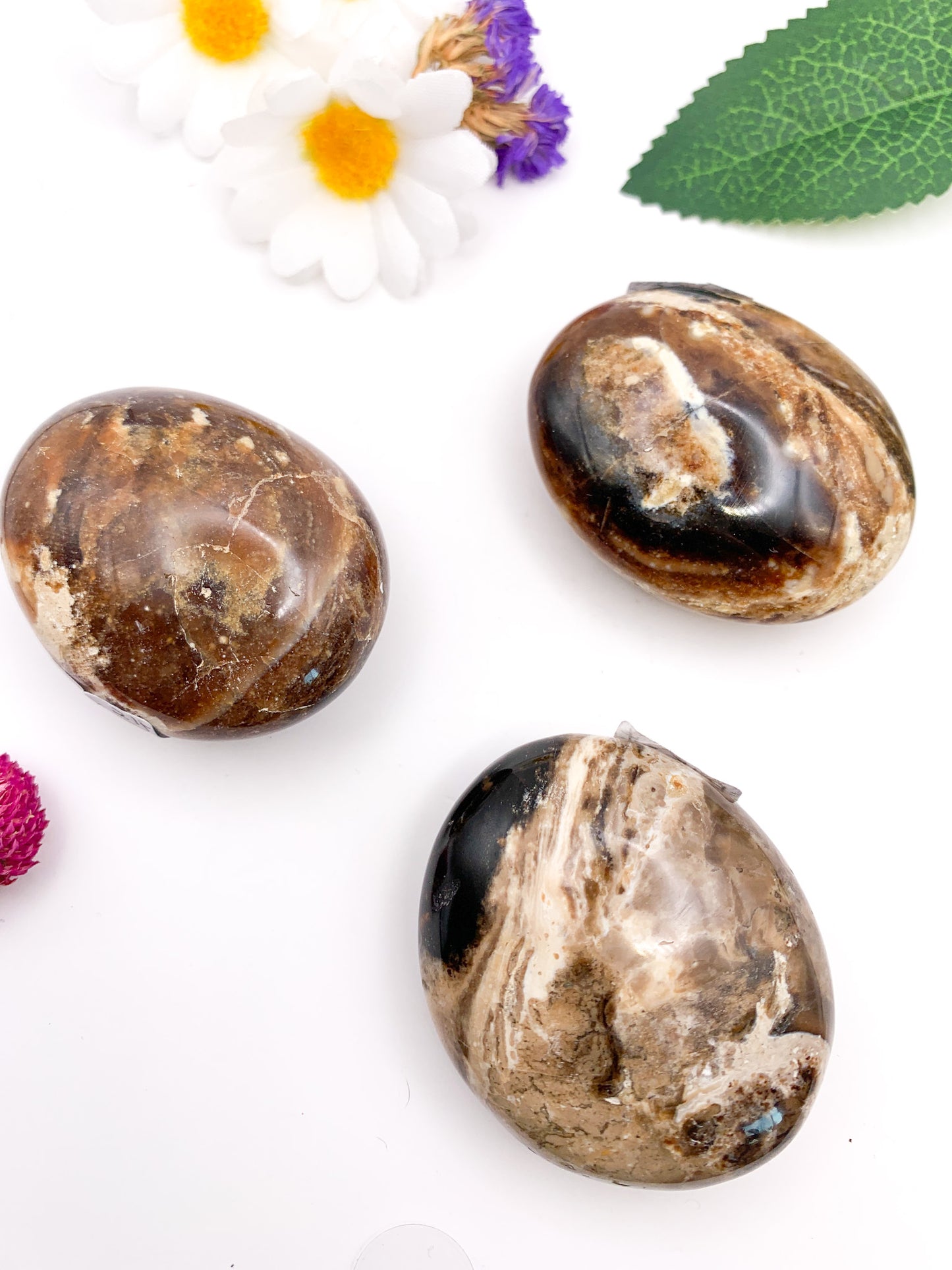 Black Amber Palm Stone - Crystal Love Treasures