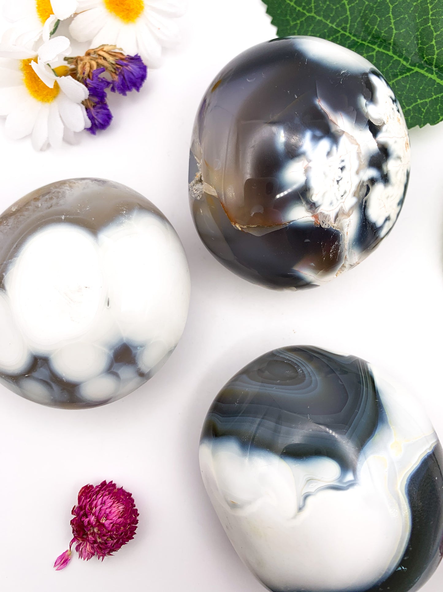 Orca Agate Palm Stone - Crystal Love Treasures