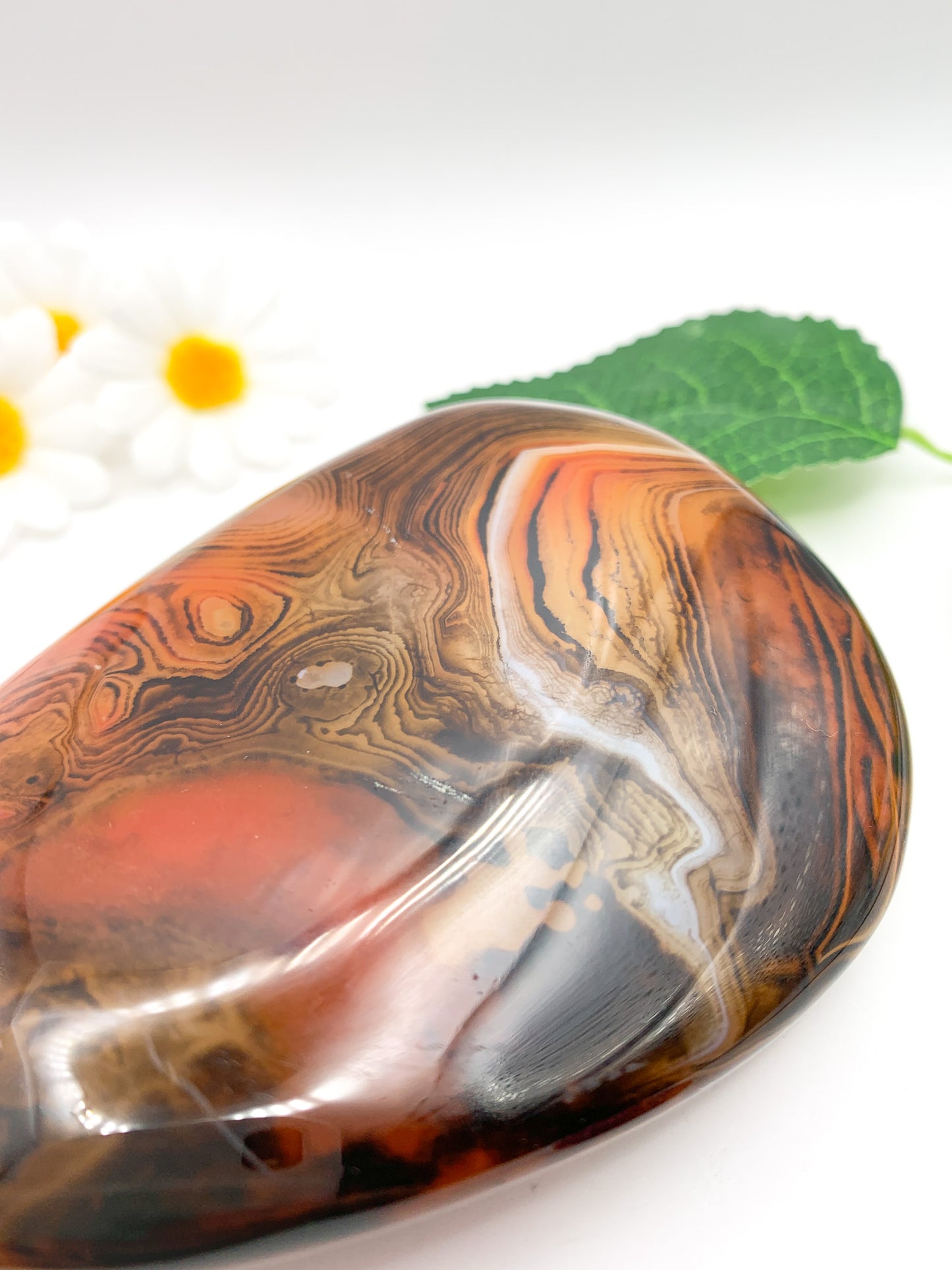 Sardonyx Palm Stone XL - Crystal Love Treasures