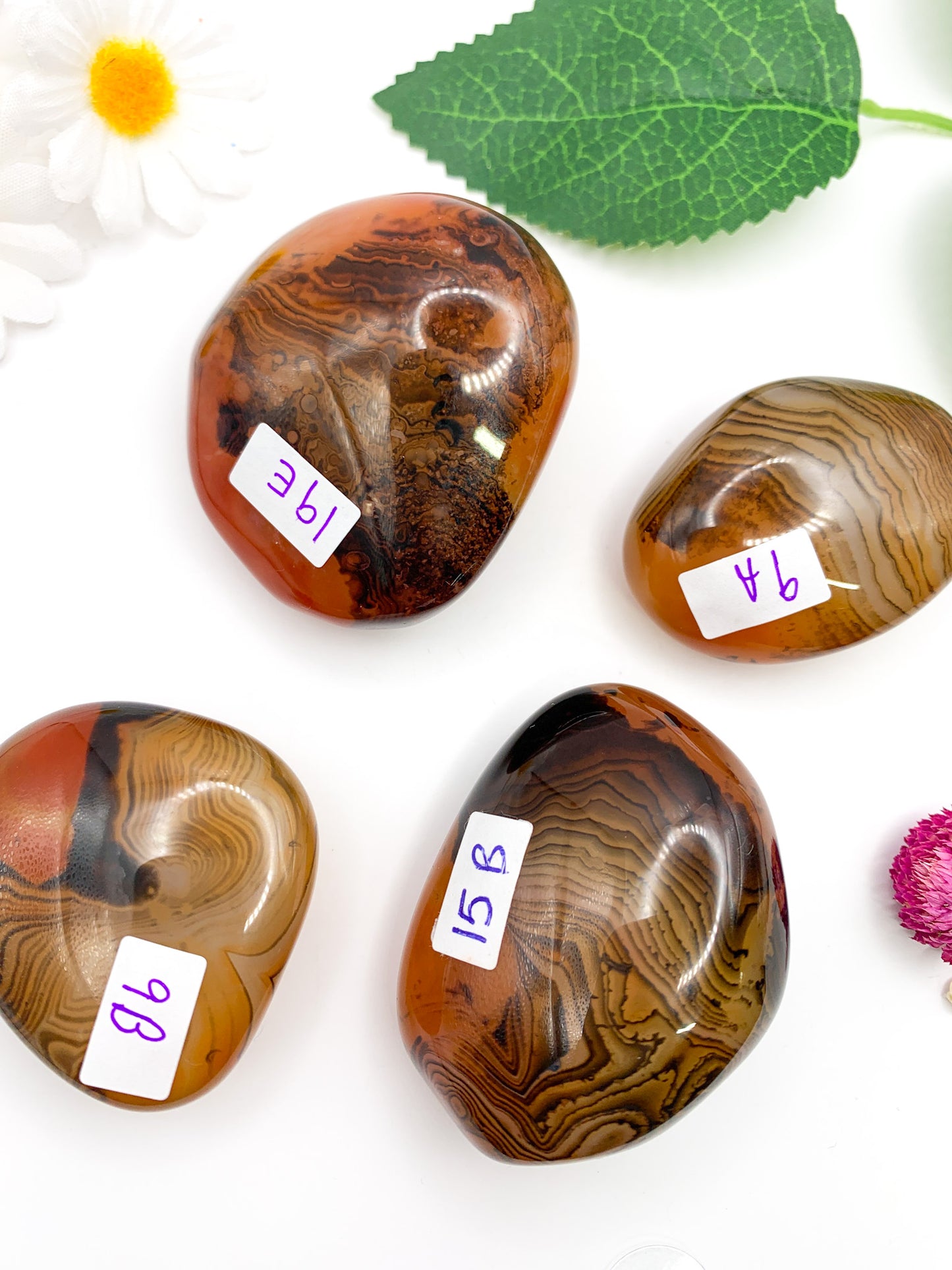 Sardonyx Palm Stone - Crystal Love Treasures