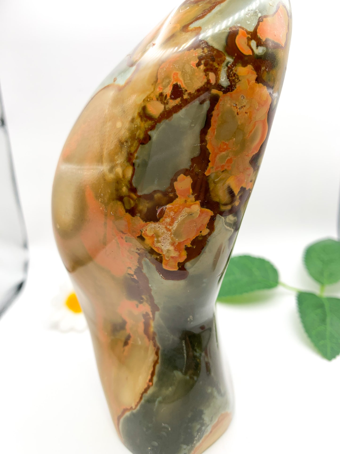 Polychrome Jasper Free Form - Crystal Love Treasures
