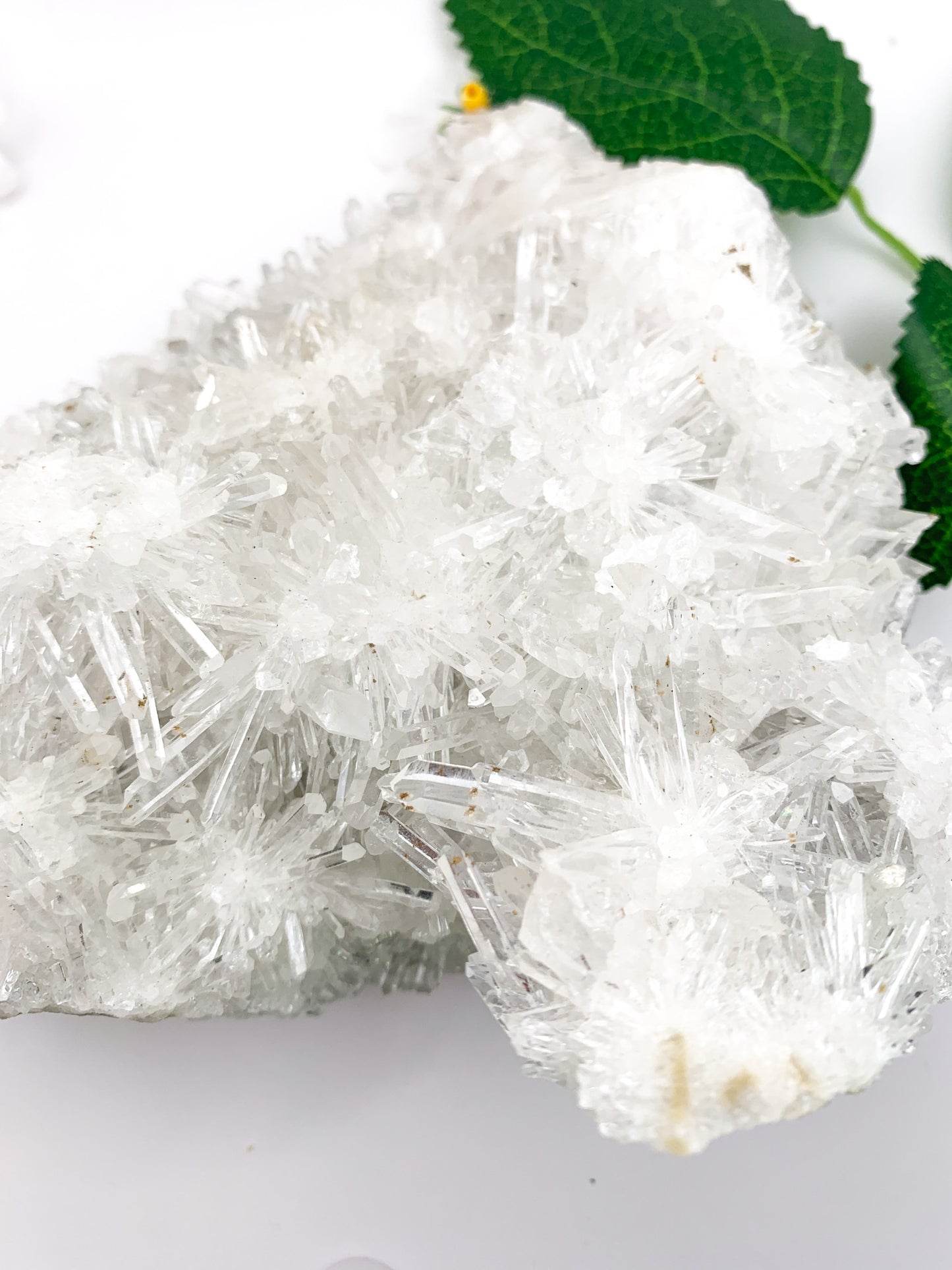 Icy Chrysanthemum Quartz Cluster - Crystal Love Treasures