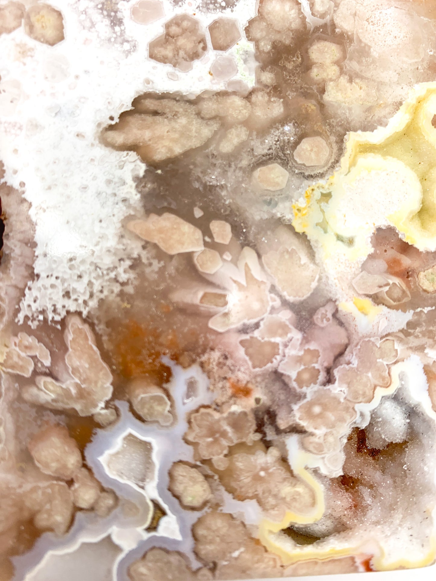 Flower Agate Free Form/Slab (Sakura Agate) - Crystal Love Treasures