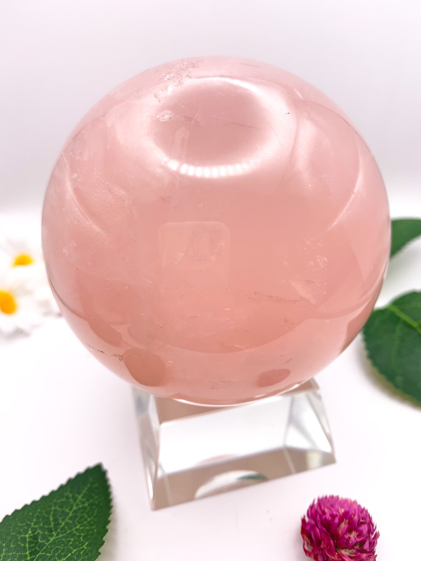 Rose Quartz Sphere with Star - Crystal Love Treasures