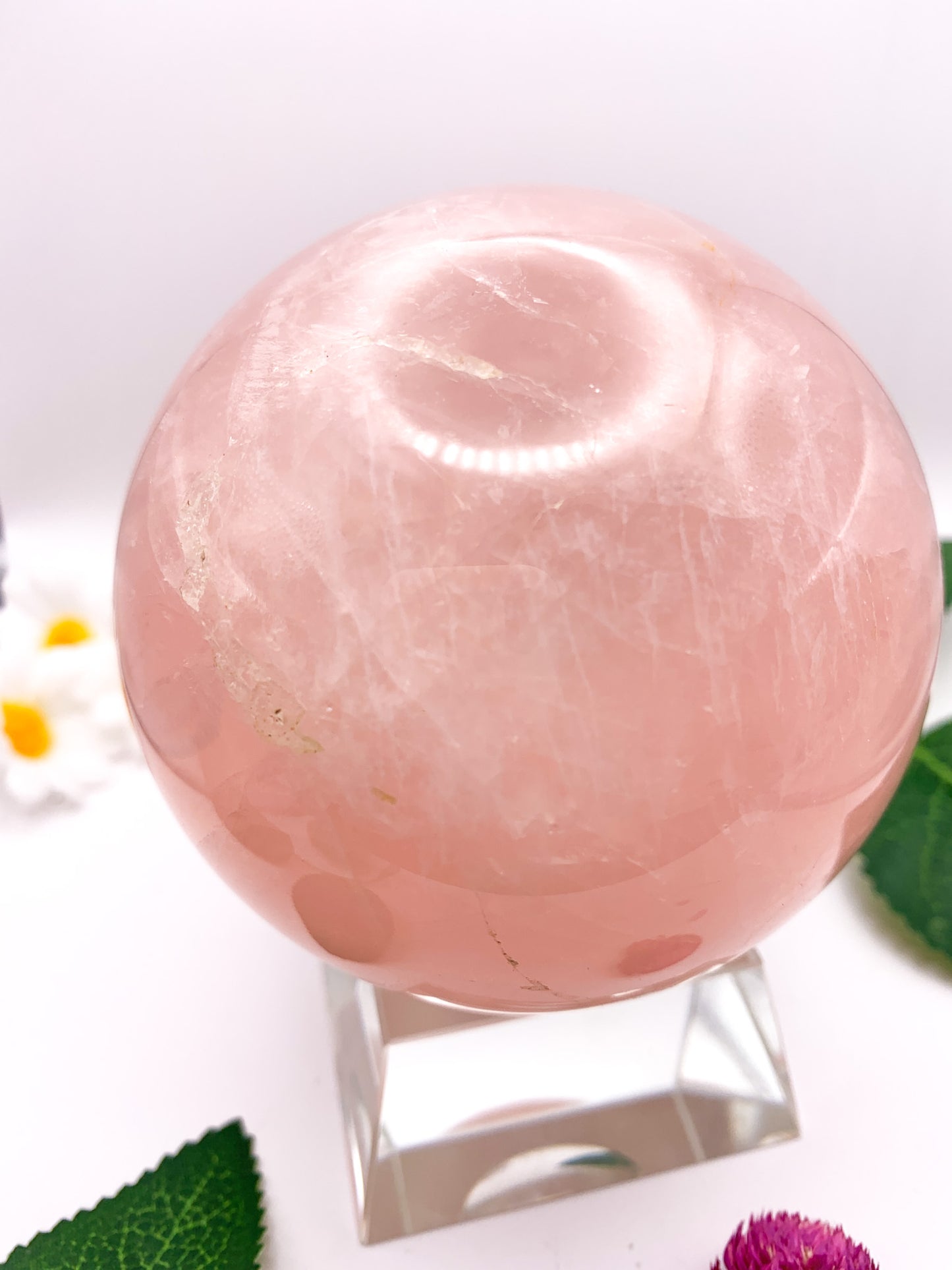 Rose Quartz Sphere with Star - Crystal Love Treasures