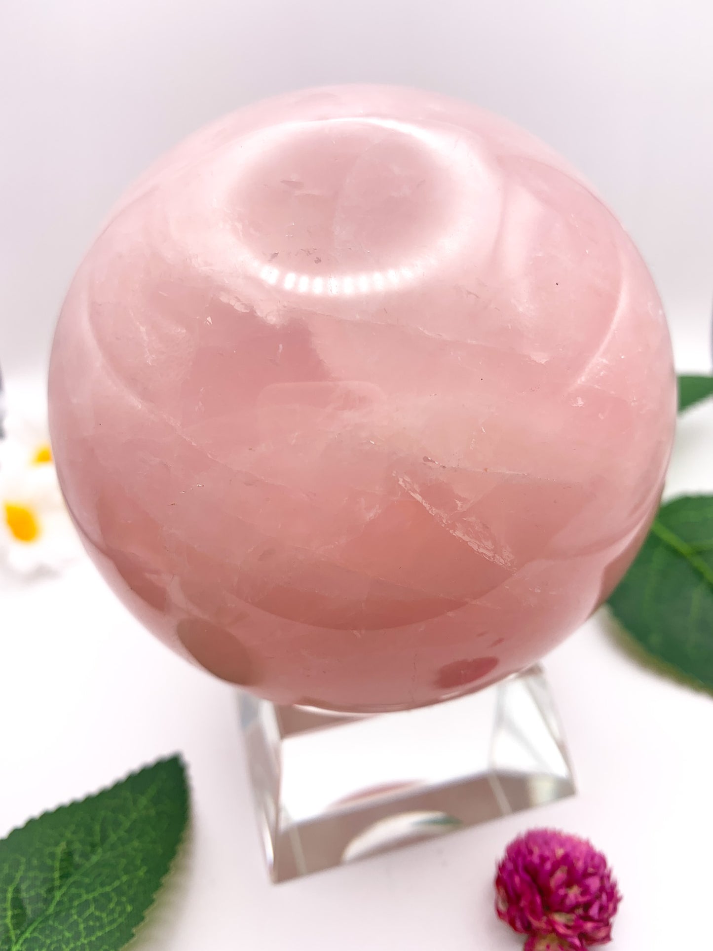 Rose Quartz Sphere with Star - Crystal Love Treasures