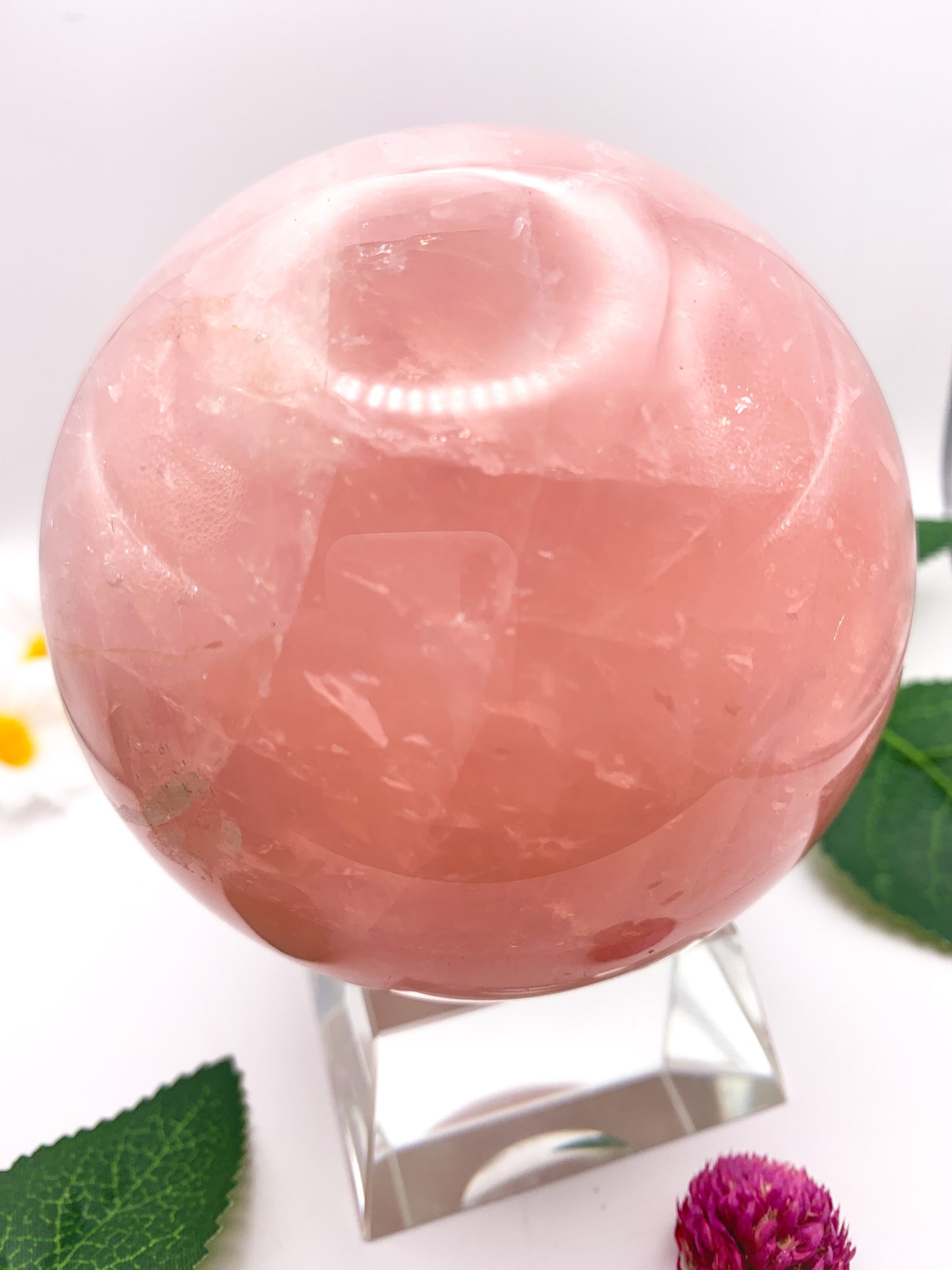 Rose Quartz Sphere with Star - Crystal Love Treasures