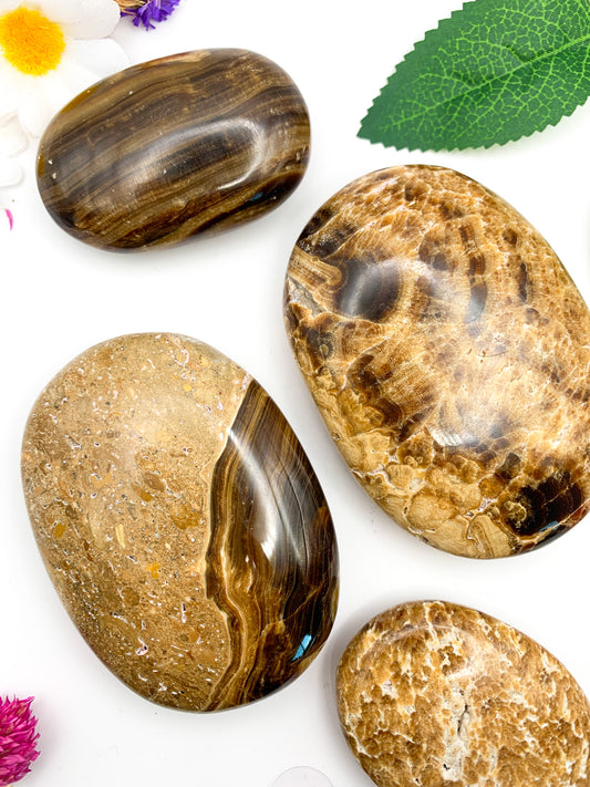 Chocolate Calcite Palm Stone - Crystal Love Treasures