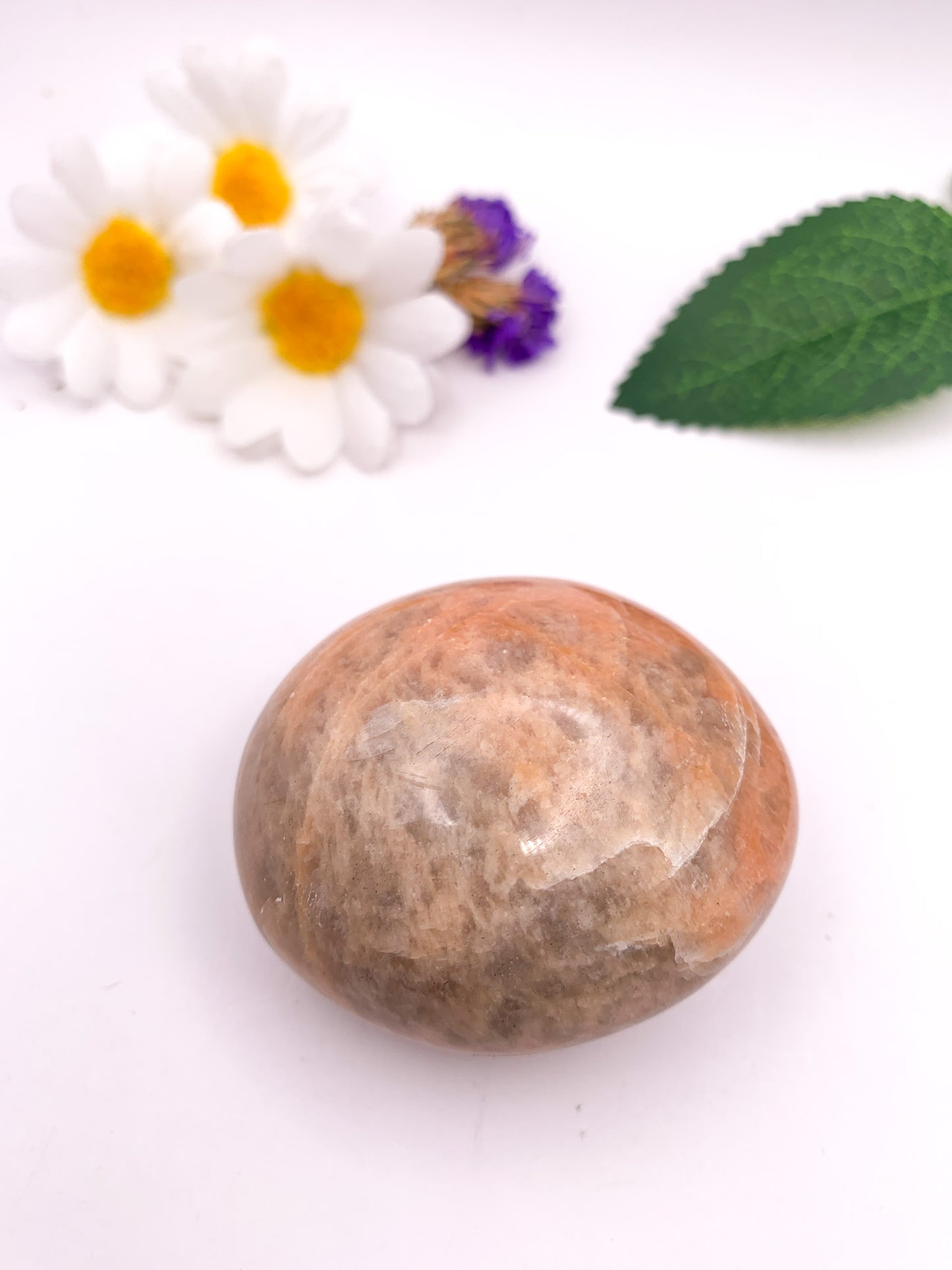 Peach Moonstone Palm Stone - Crystal Love Treasures