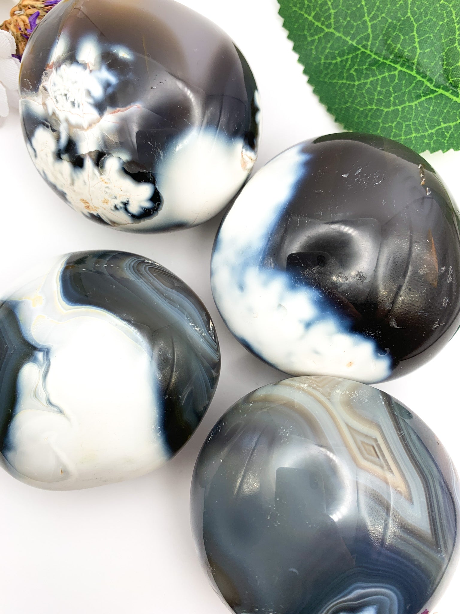 Orca Agate Palm Stone - Crystal Love Treasures