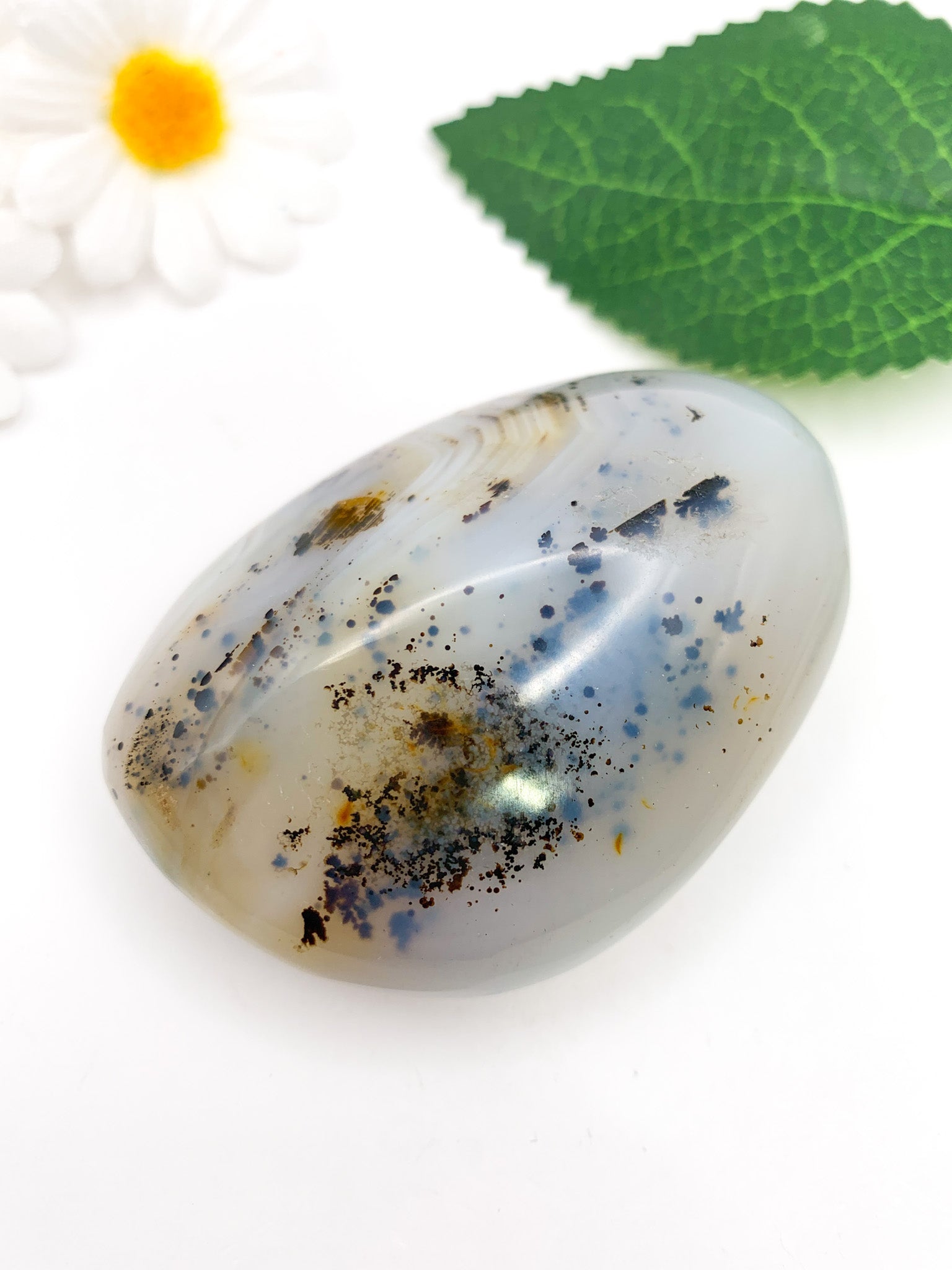 Dendritic Agate Palm Stone - Crystal Love Treasures