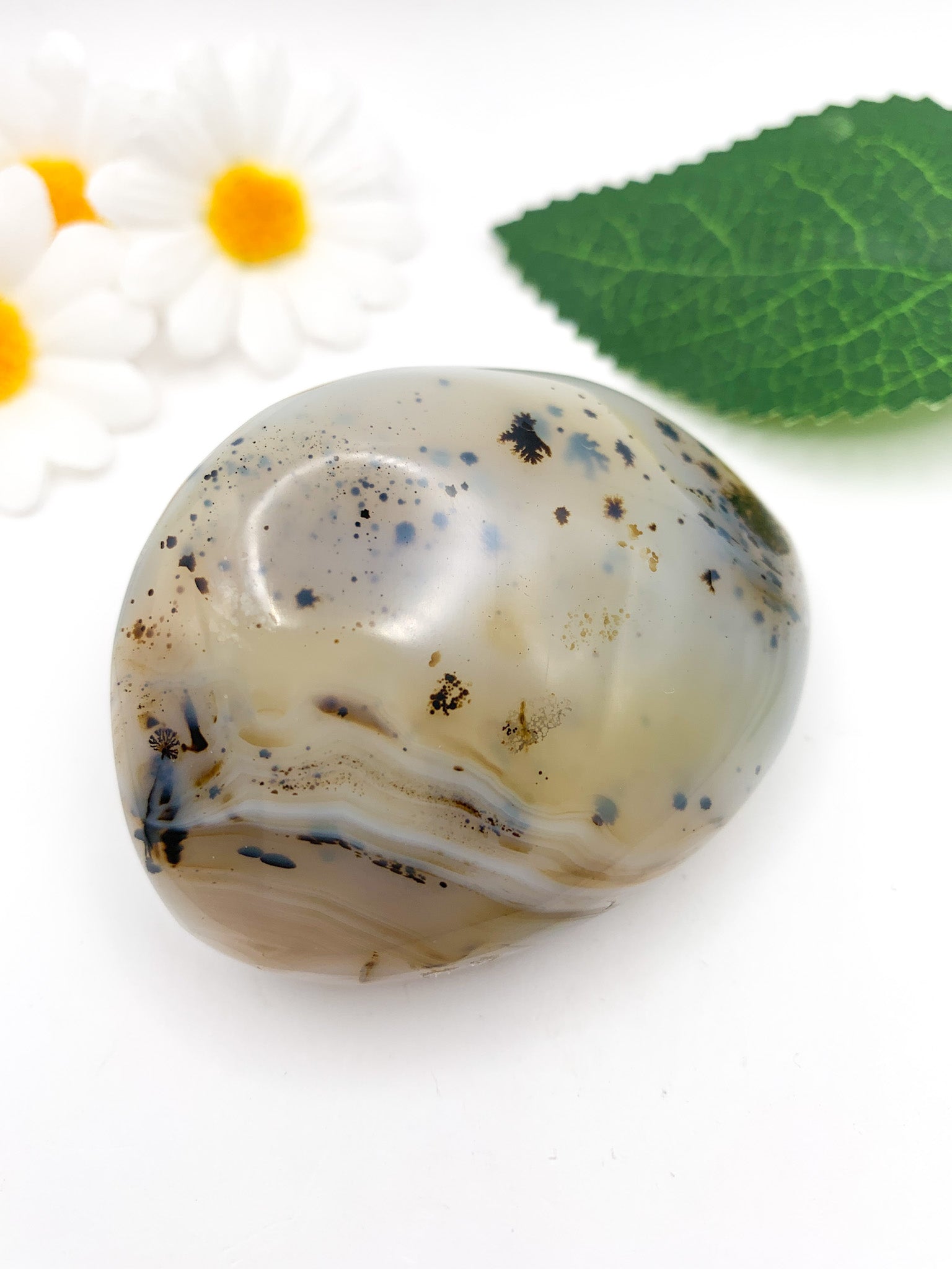 Dendritic Agate Palm Stone - Crystal Love Treasures