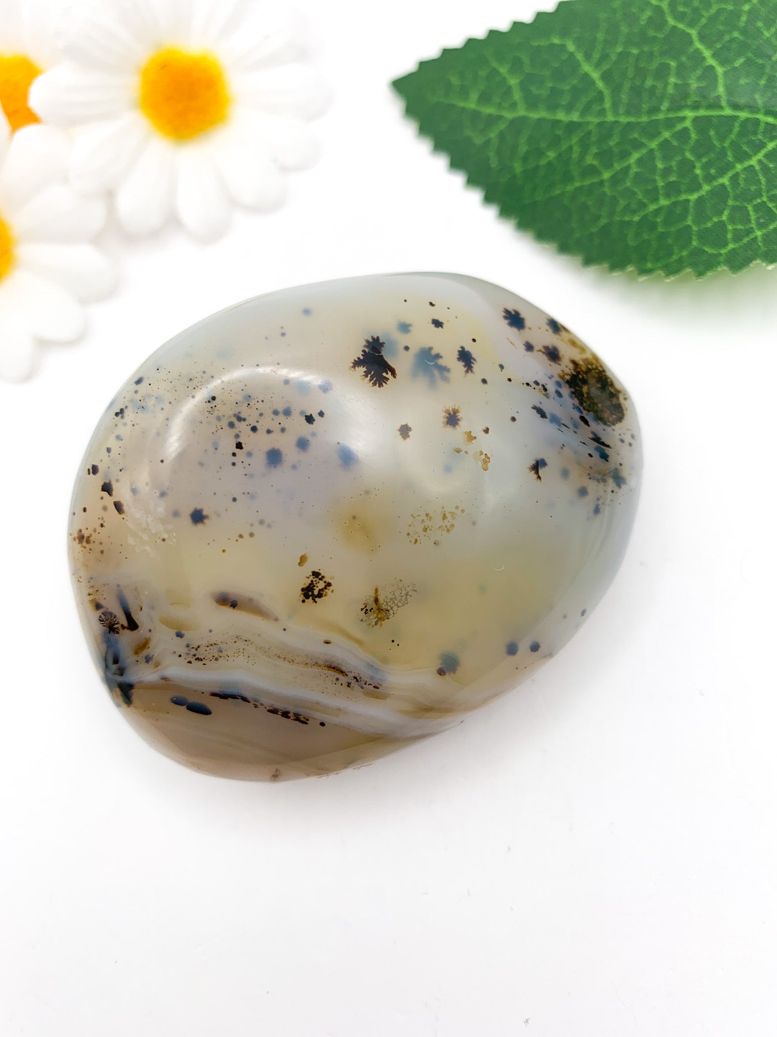 Dendritic Agate Palm Stone - Crystal Love Treasures