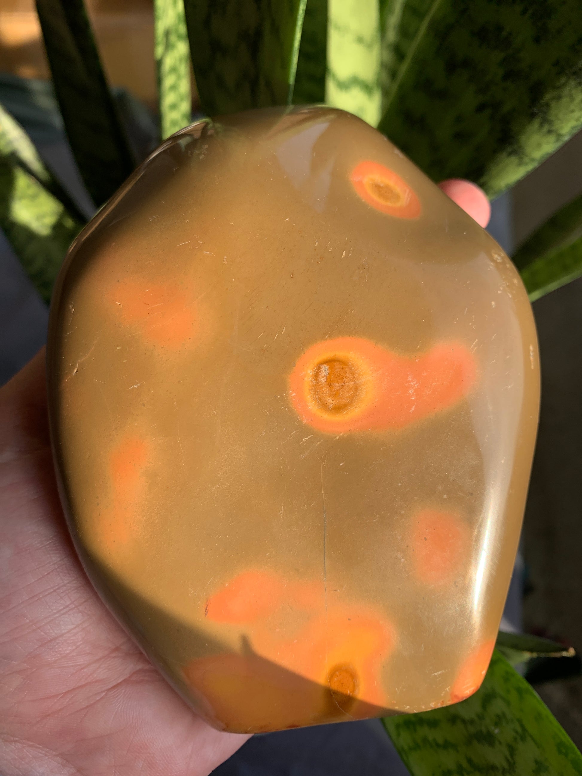 Polychrome Jasper Free Form - Crystal Love Treasures