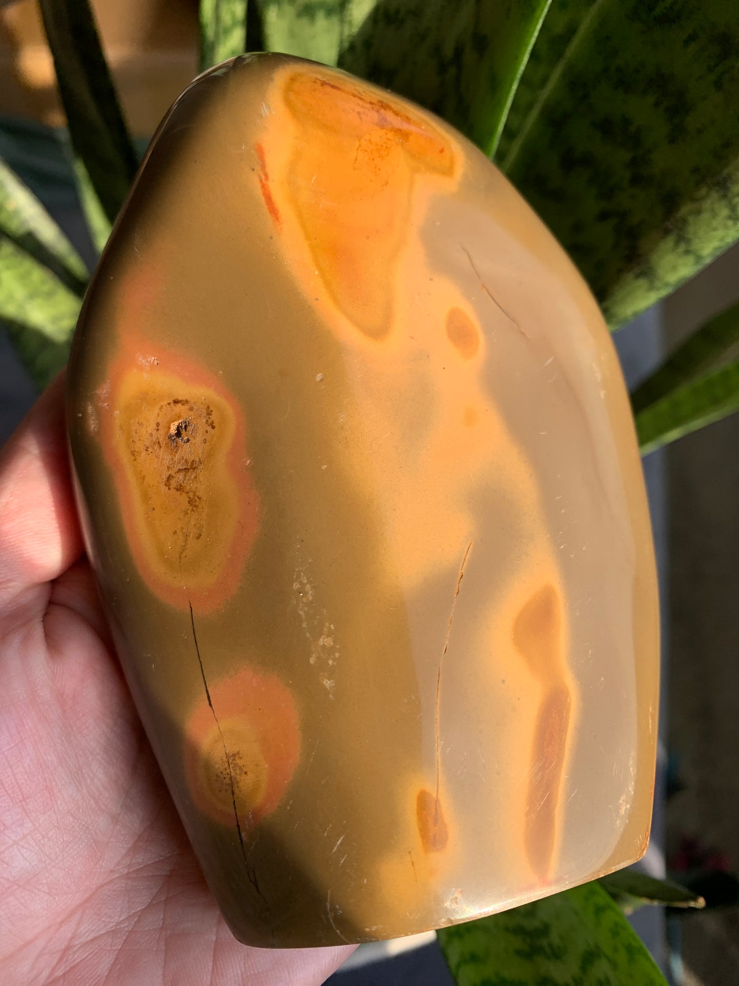 Polychrome Jasper Free Form - Crystal Love Treasures