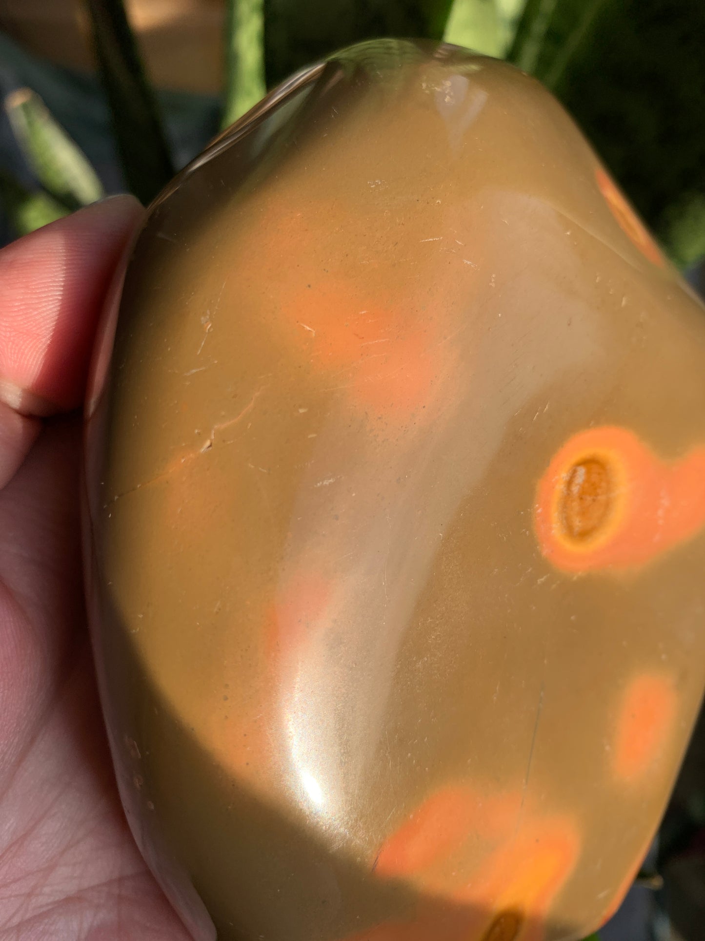 Polychrome Jasper Free Form - Crystal Love Treasures