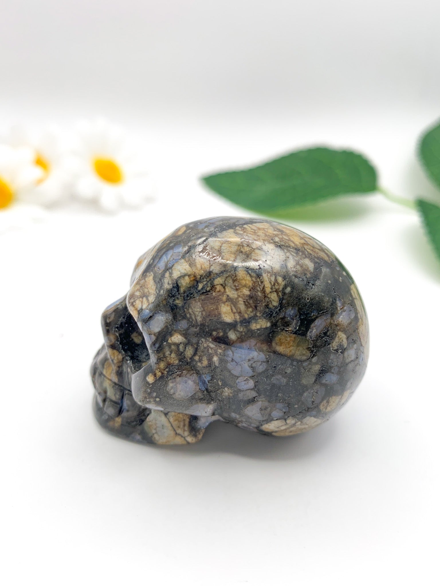Que Sera Skull - Crystal Love Treasures