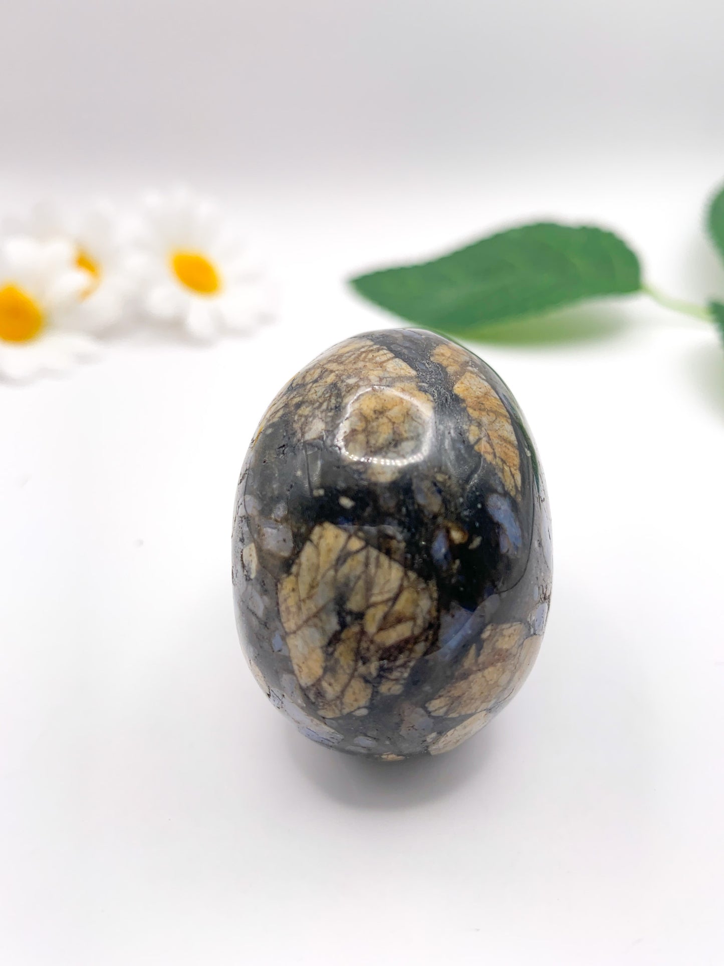Que Sera Skull - Crystal Love Treasures