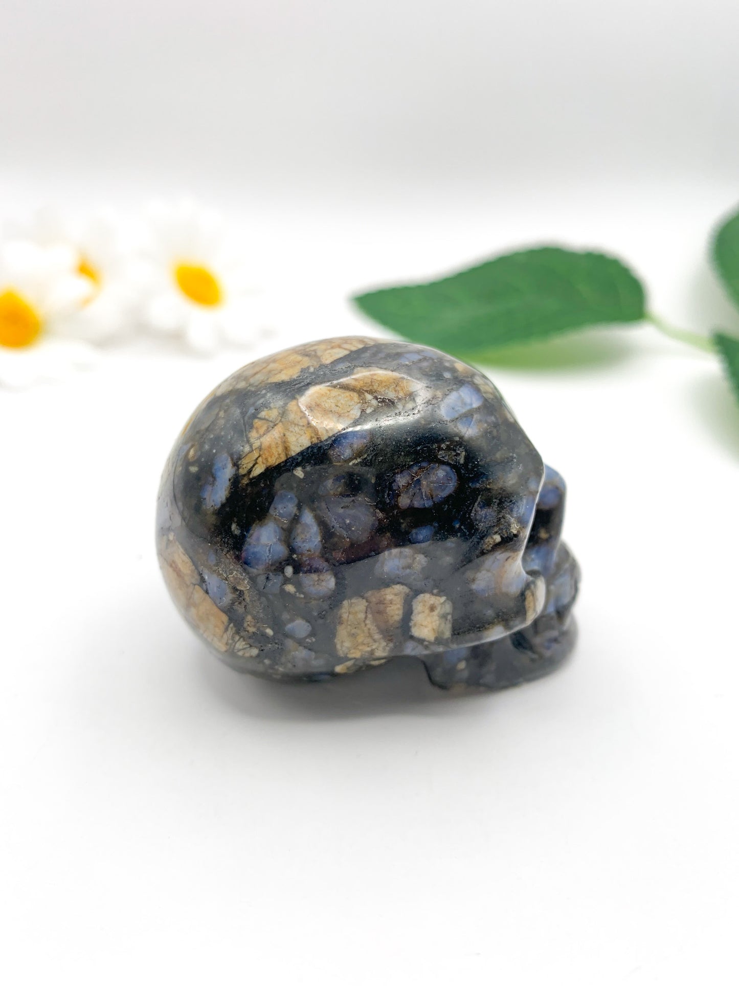 Que Sera Skull - Crystal Love Treasures