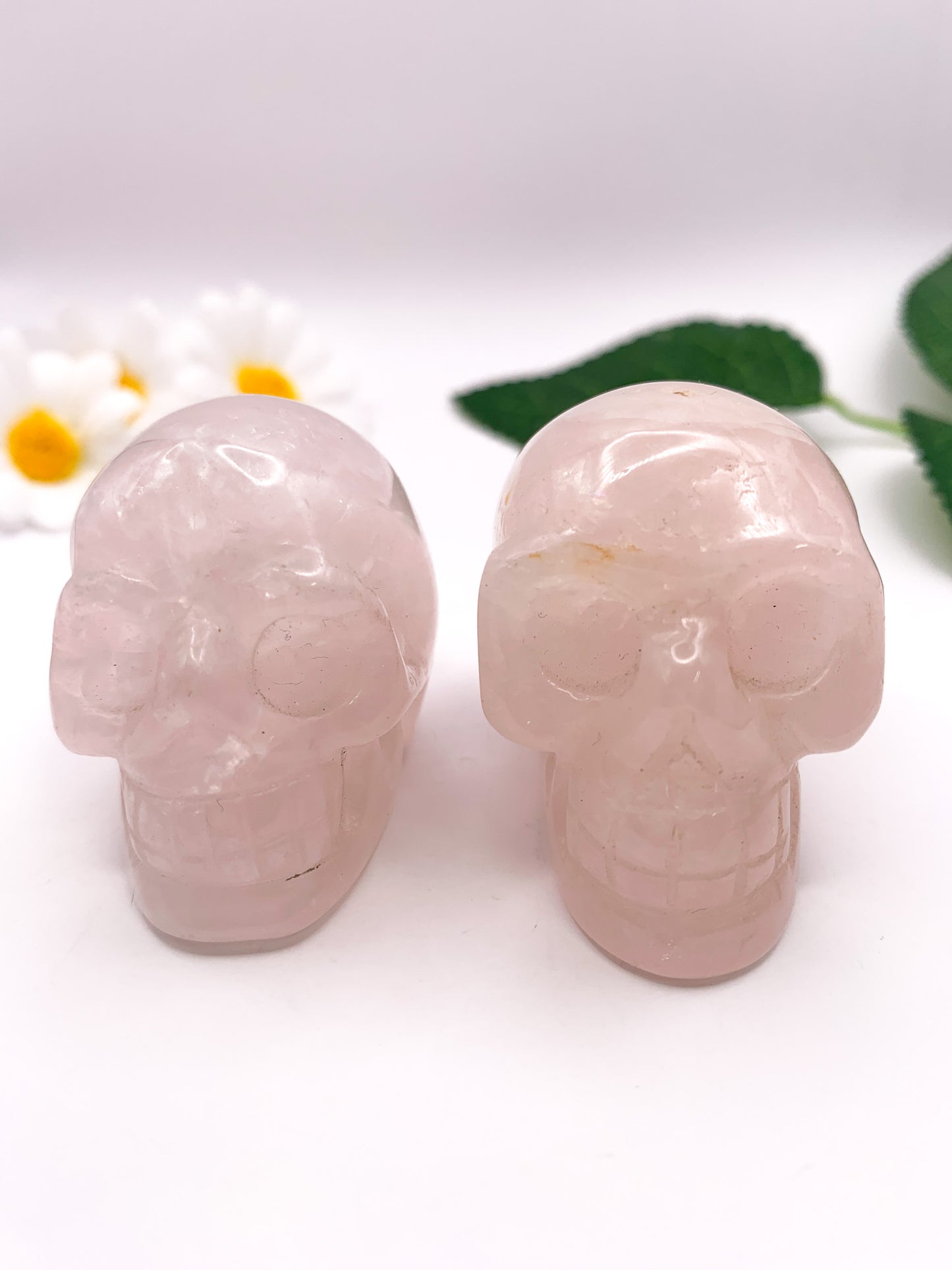 Rose Quartz Skull - Crystal Love Treasures