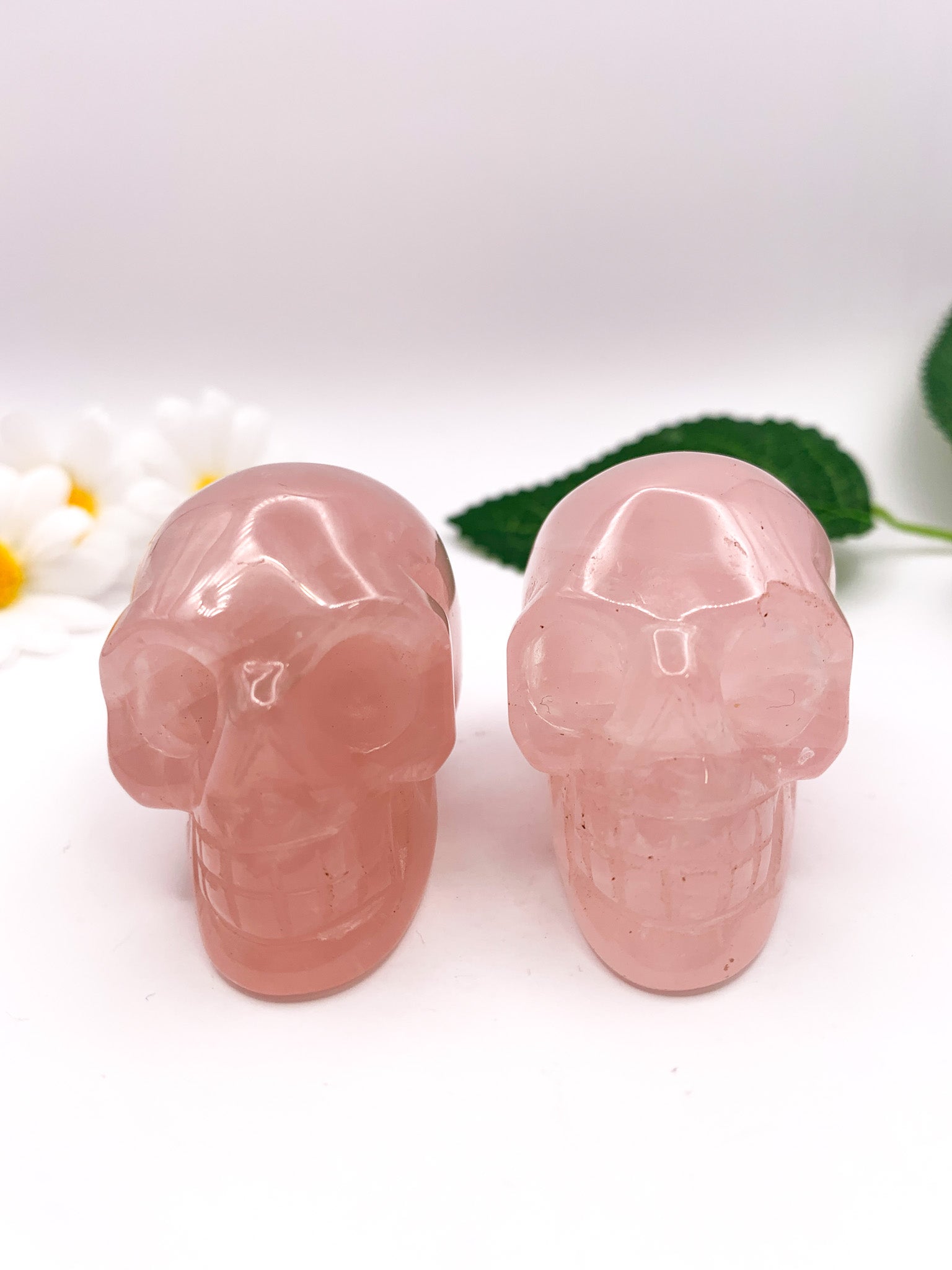 Rose Quartz Skull - Crystal Love Treasures