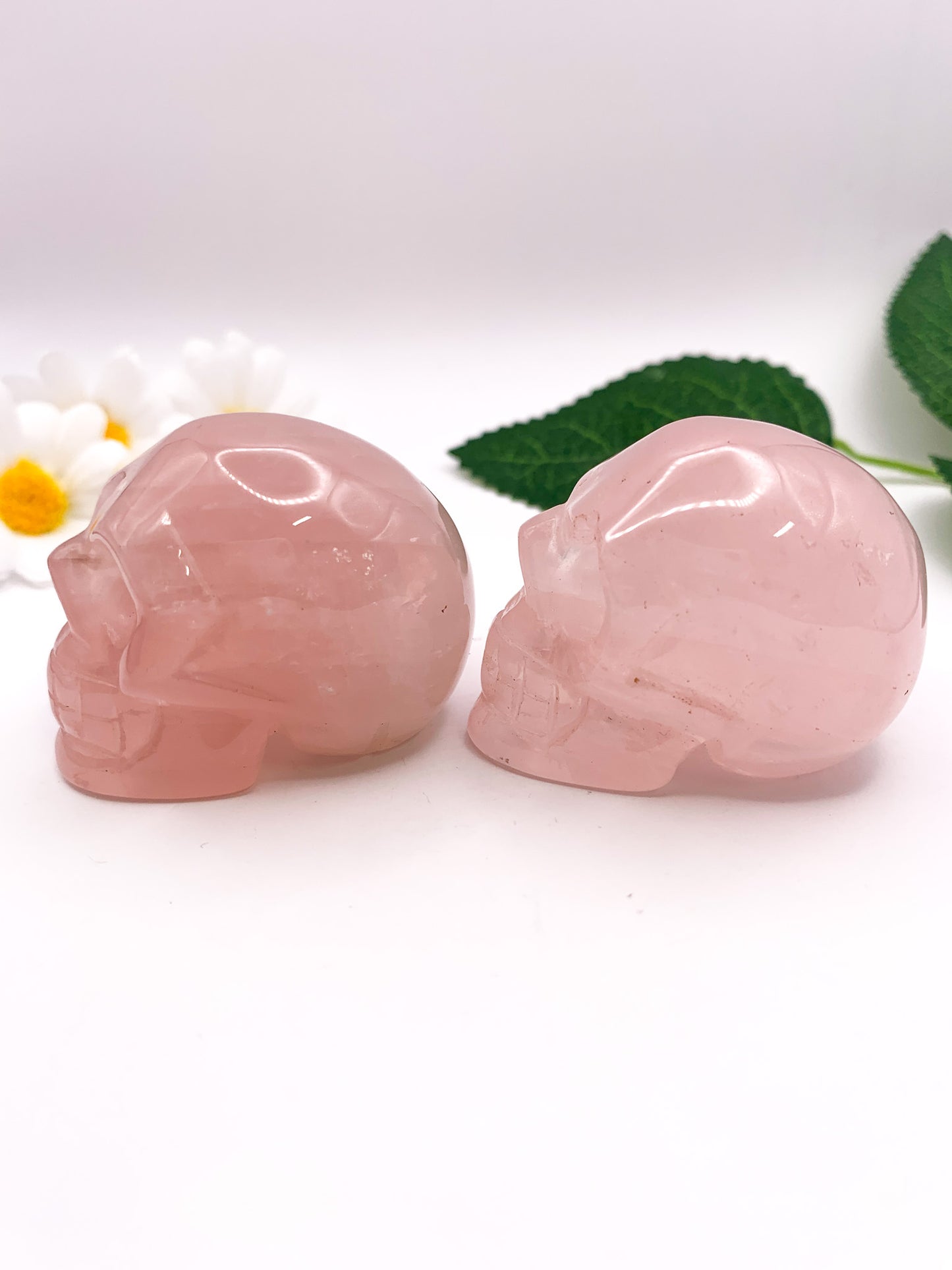 Rose Quartz Skull - Crystal Love Treasures