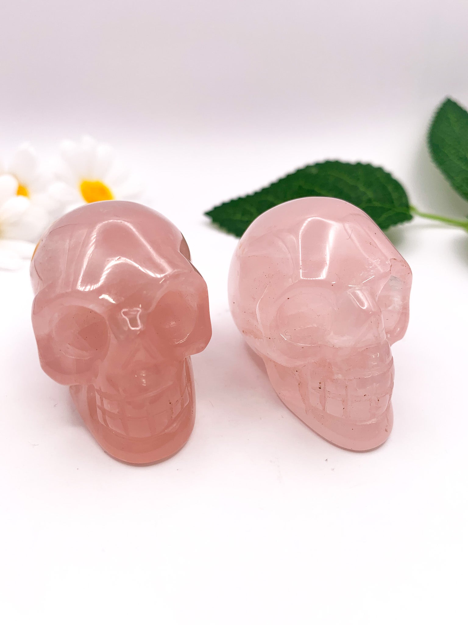 Rose Quartz Skull - Crystal Love Treasures