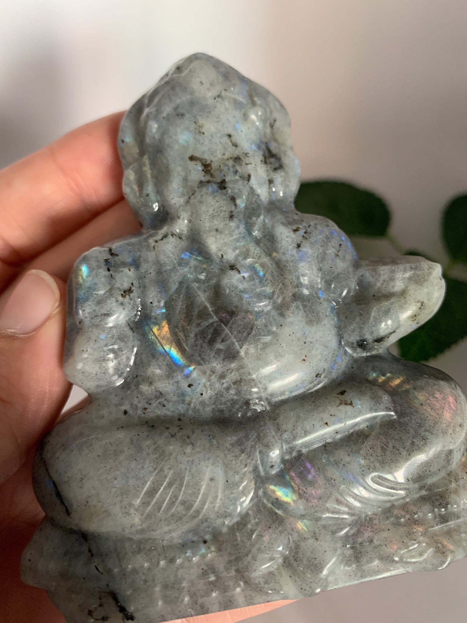 Labradorite Ganesha Carving (Hand-carved) - Crystal Love Treasures