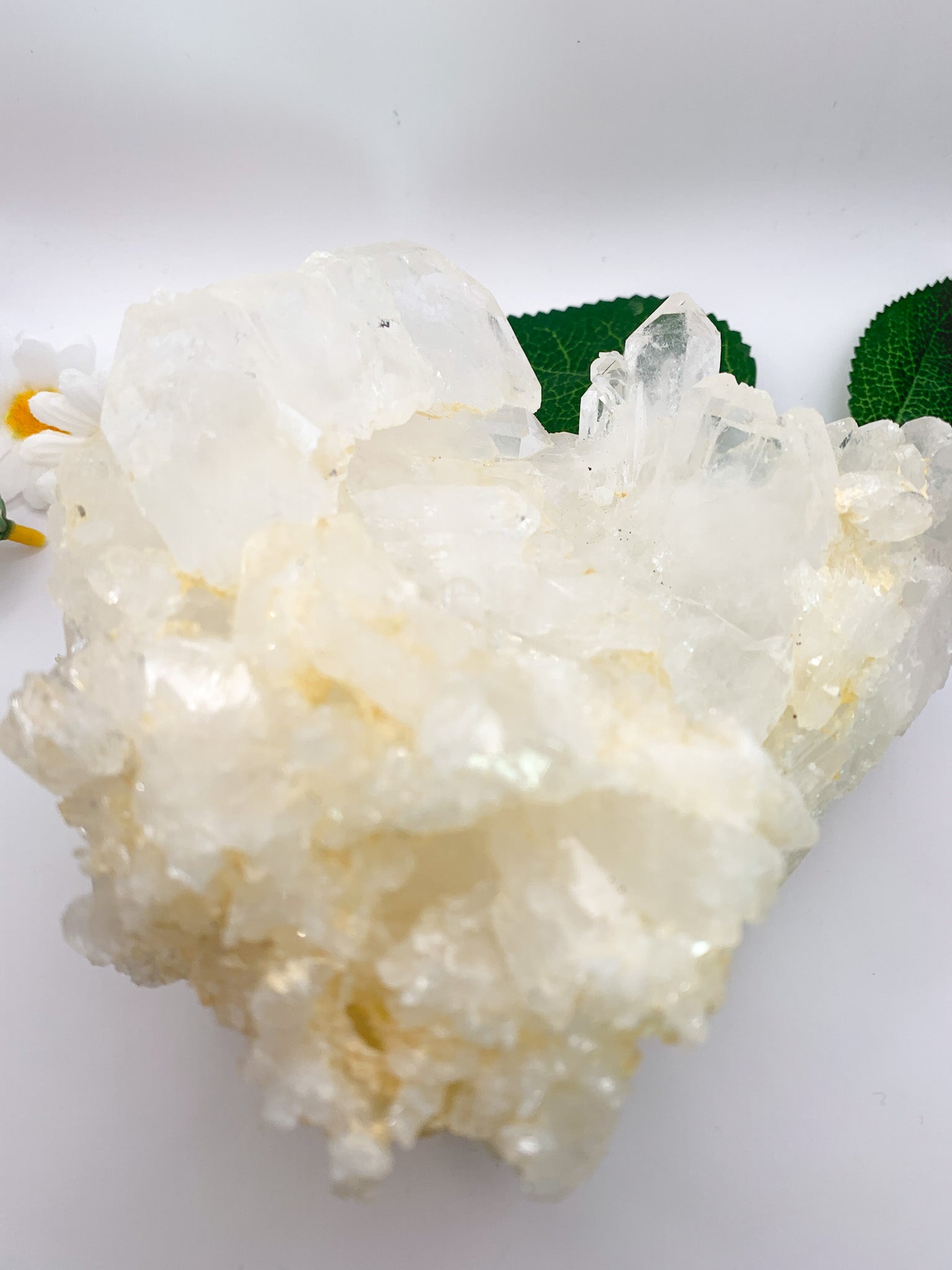 Icy Himalayan Quartz Cluster - Crystal Love Treasures