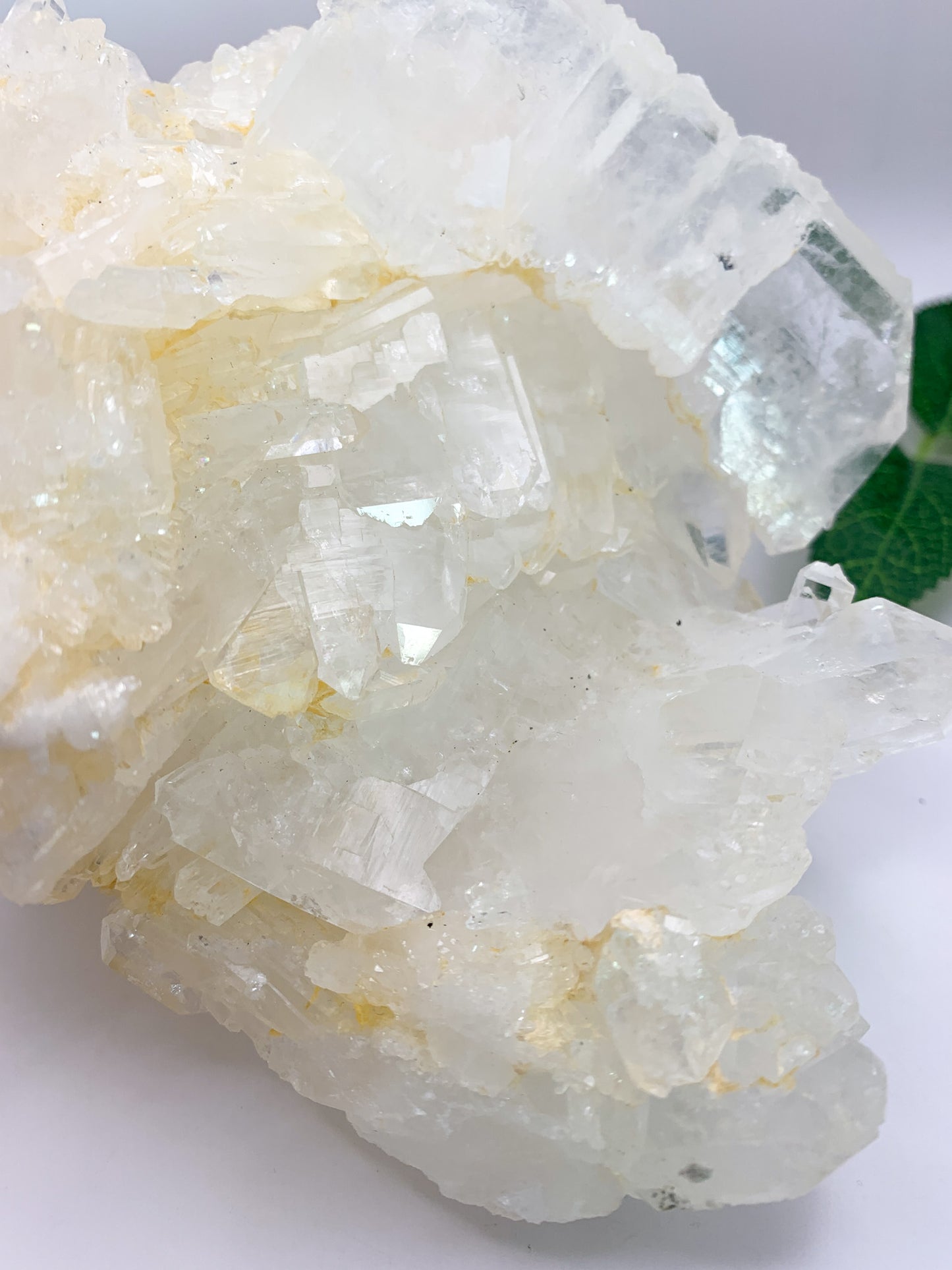 Icy Himalayan Quartz Cluster - Crystal Love Treasures