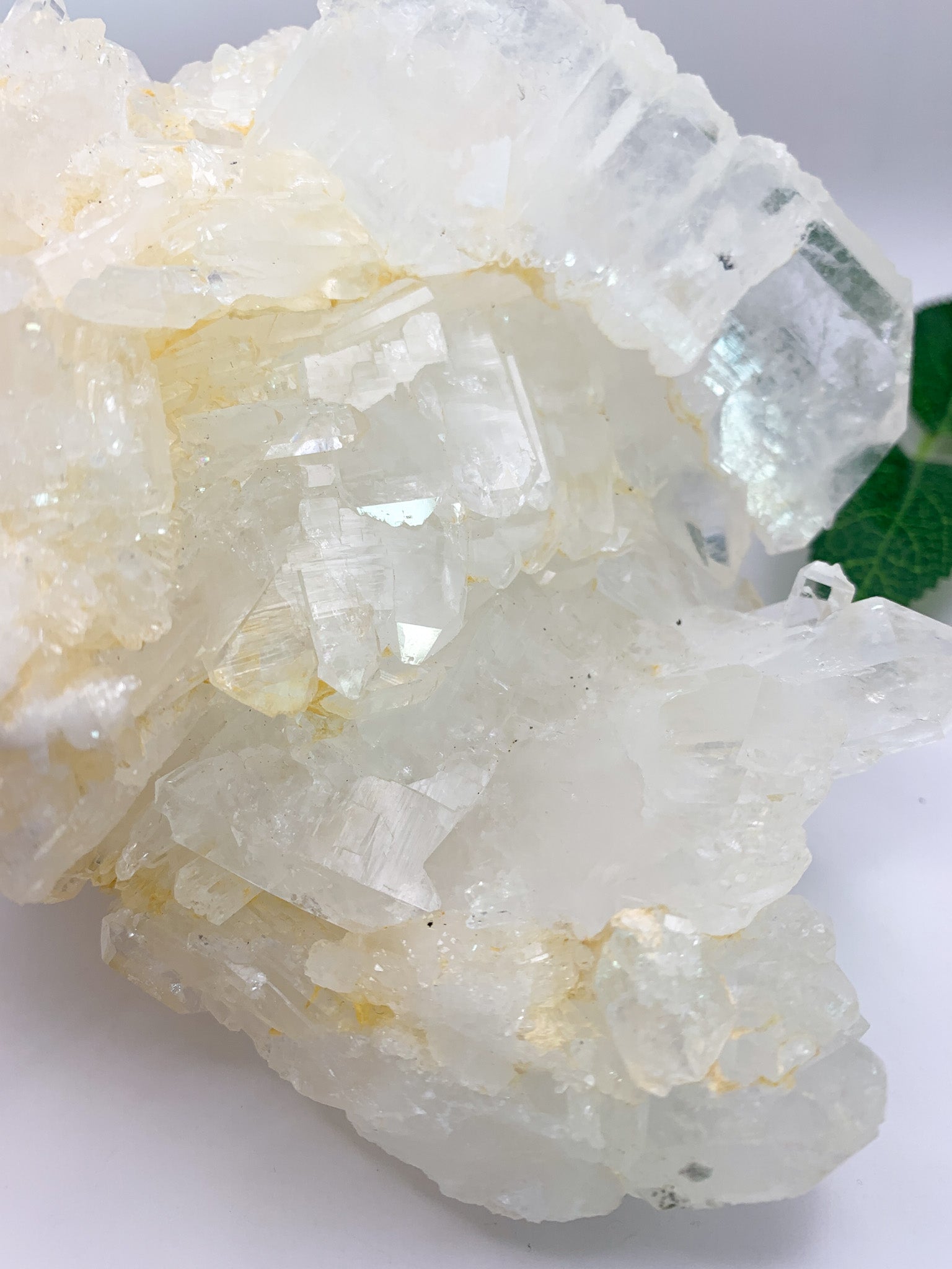 Icy Himalayan Quartz Cluster - Crystal Love Treasures