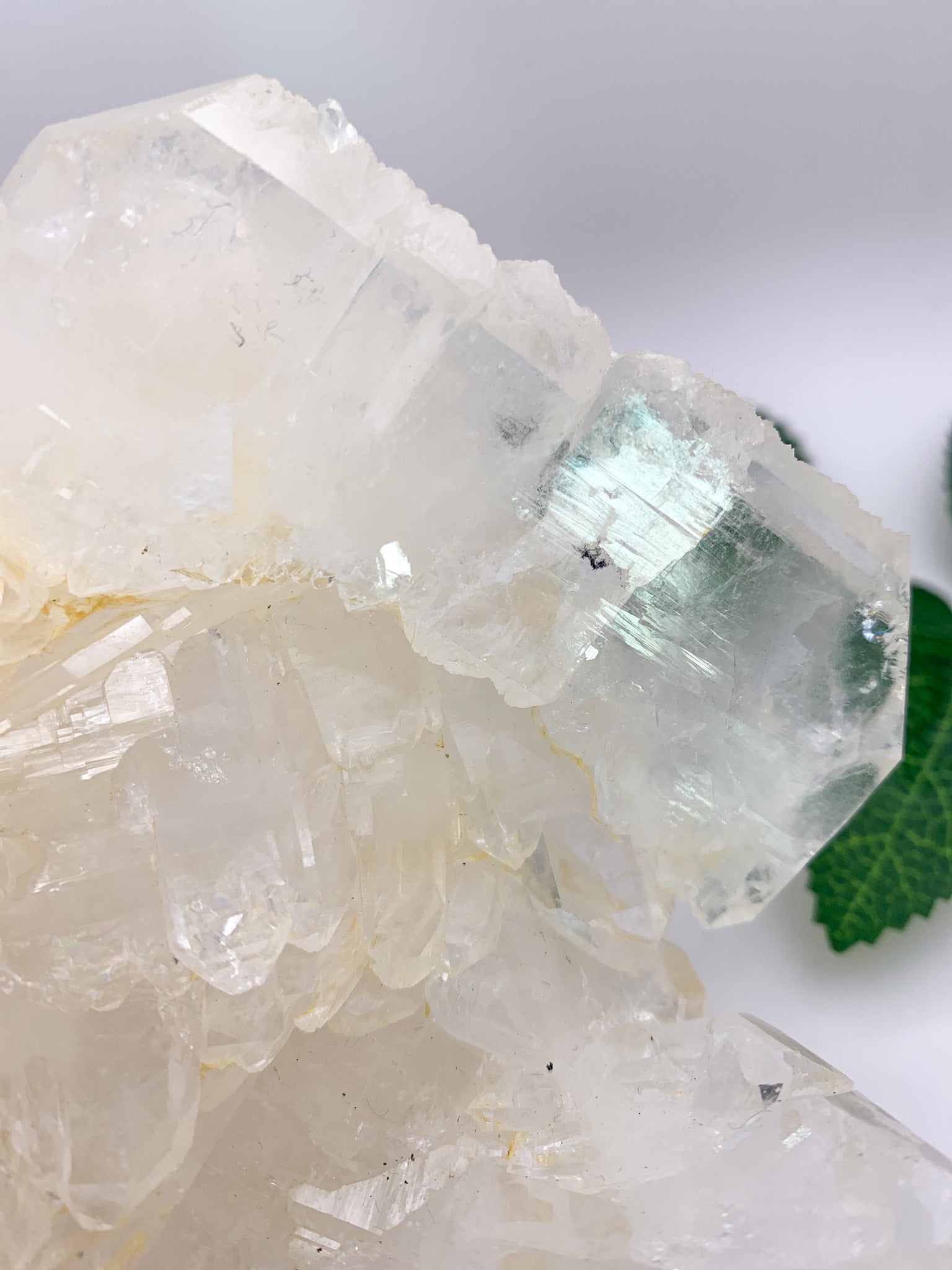 Icy Himalayan Quartz Cluster - Crystal Love Treasures