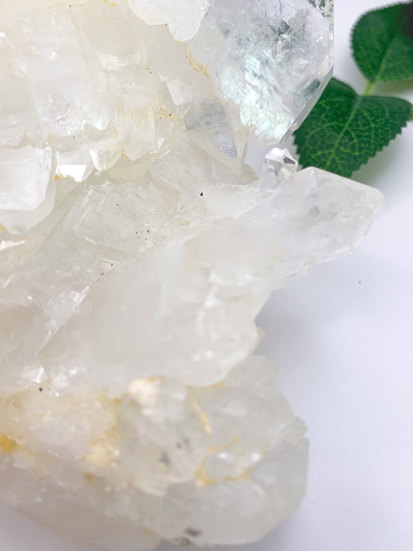 Icy Himalayan Quartz Cluster - Crystal Love Treasures