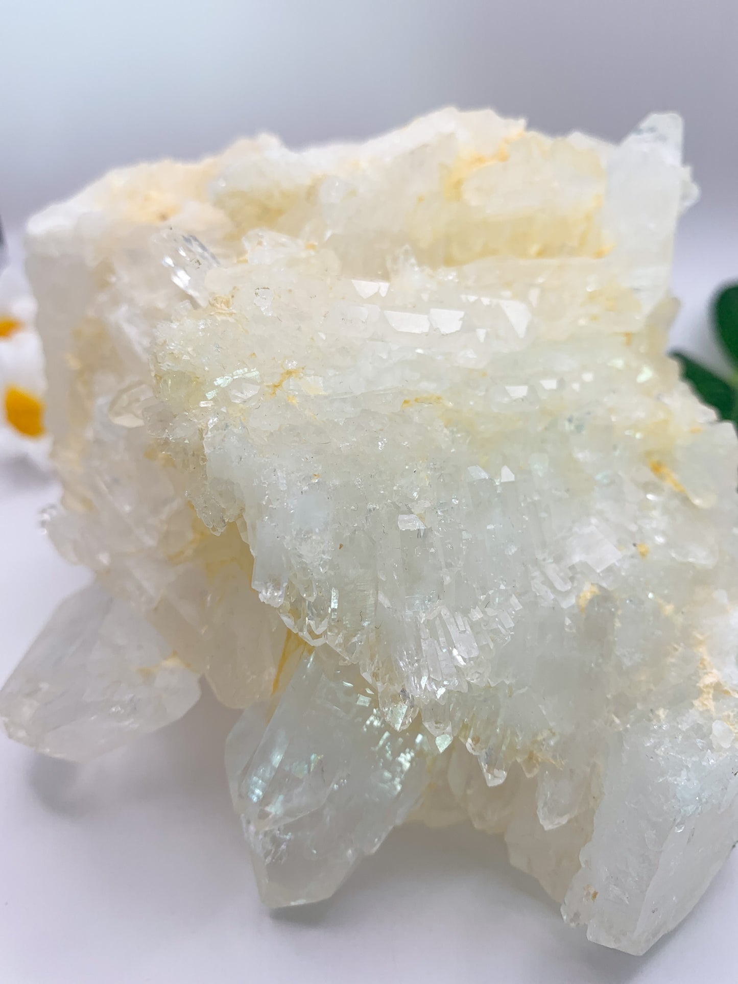 Icy Himalayan Quartz Cluster - Crystal Love Treasures