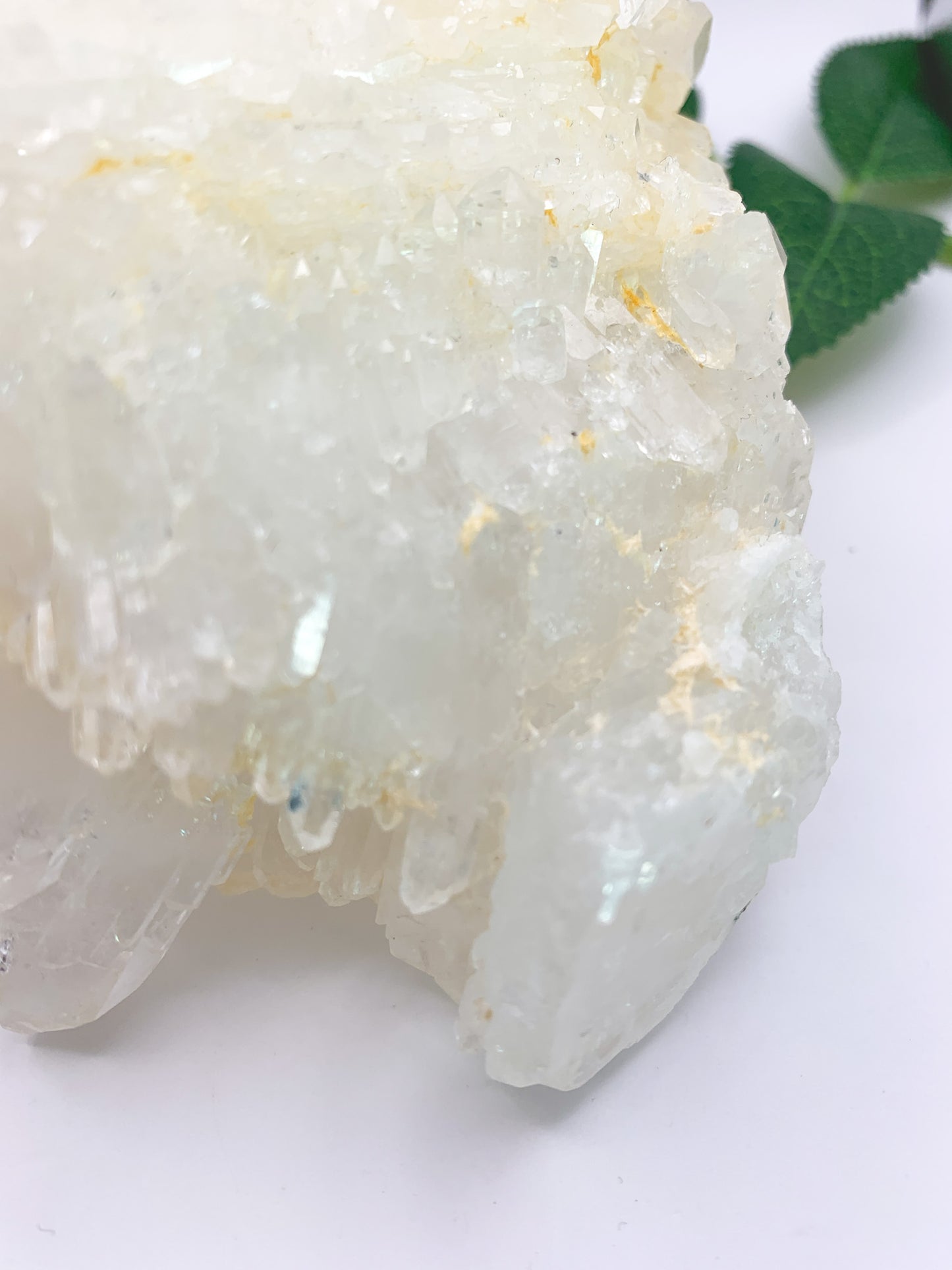 Icy Himalayan Quartz Cluster - Crystal Love Treasures