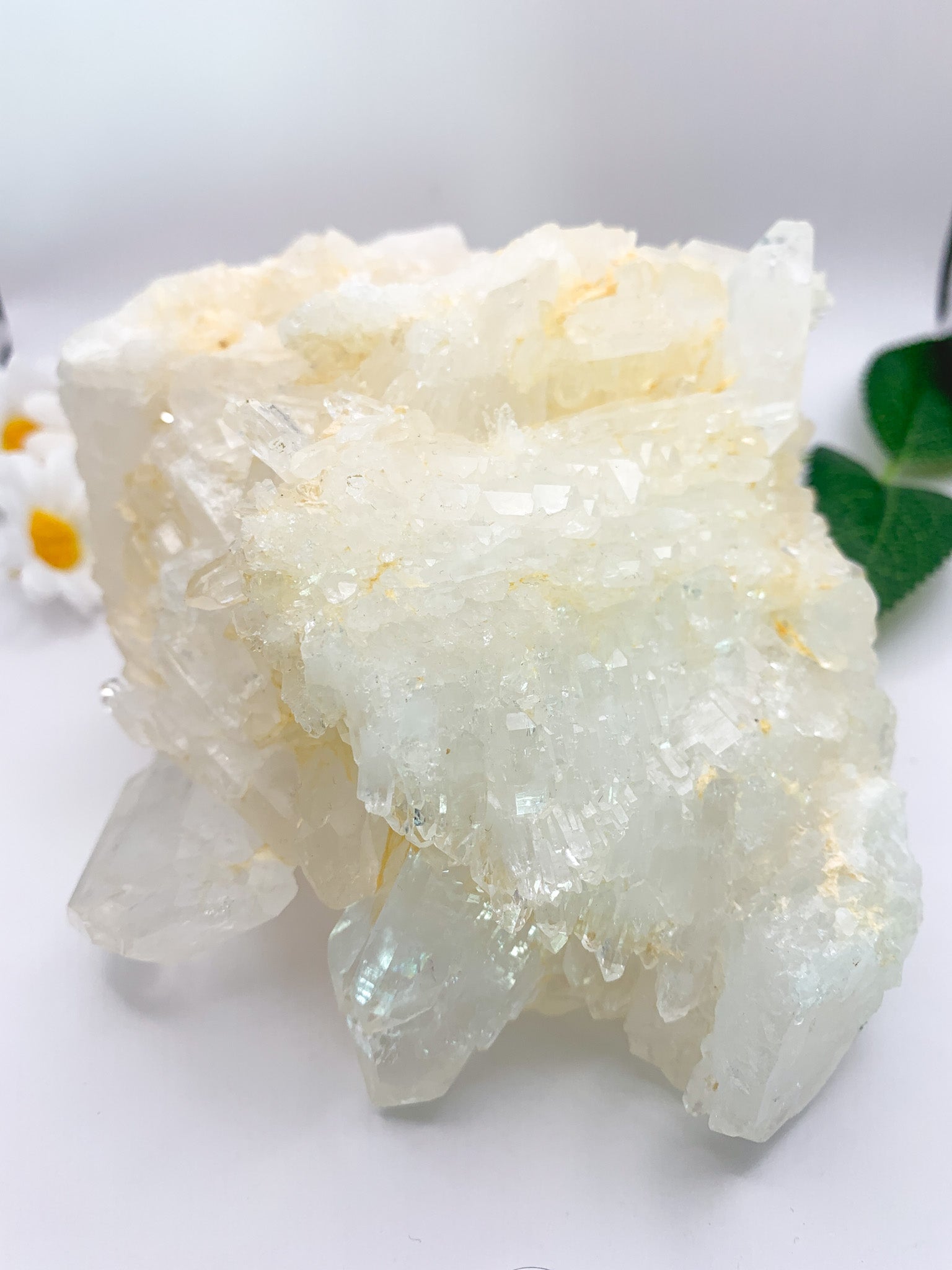 Icy Himalayan Quartz Cluster - Crystal Love Treasures
