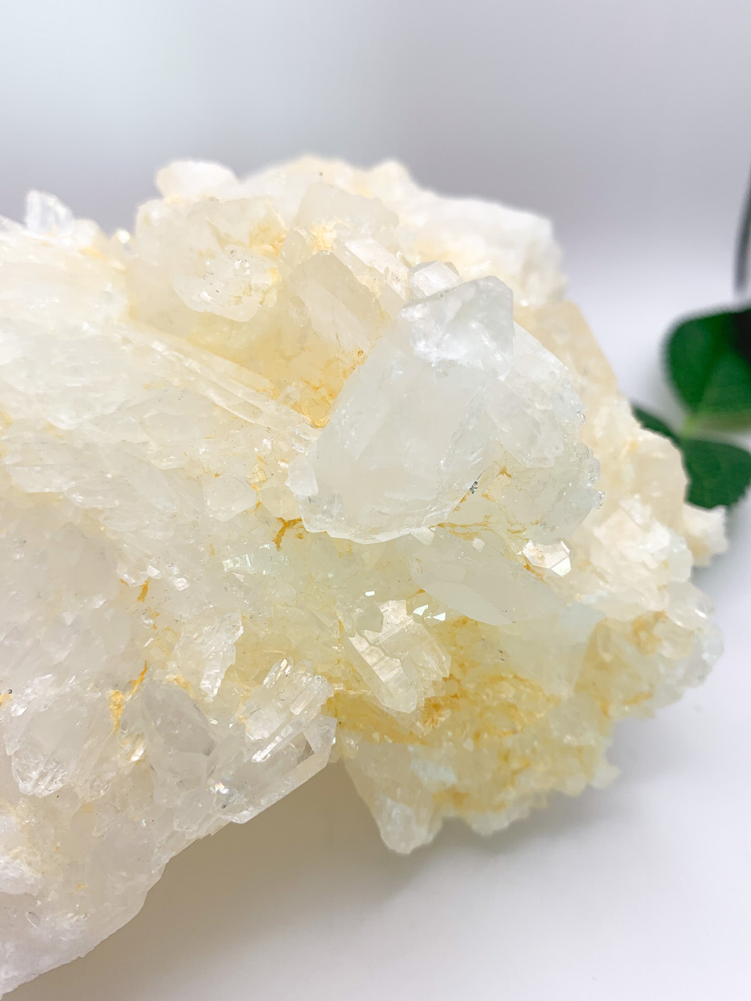 Icy Himalayan Quartz Cluster - Crystal Love Treasures