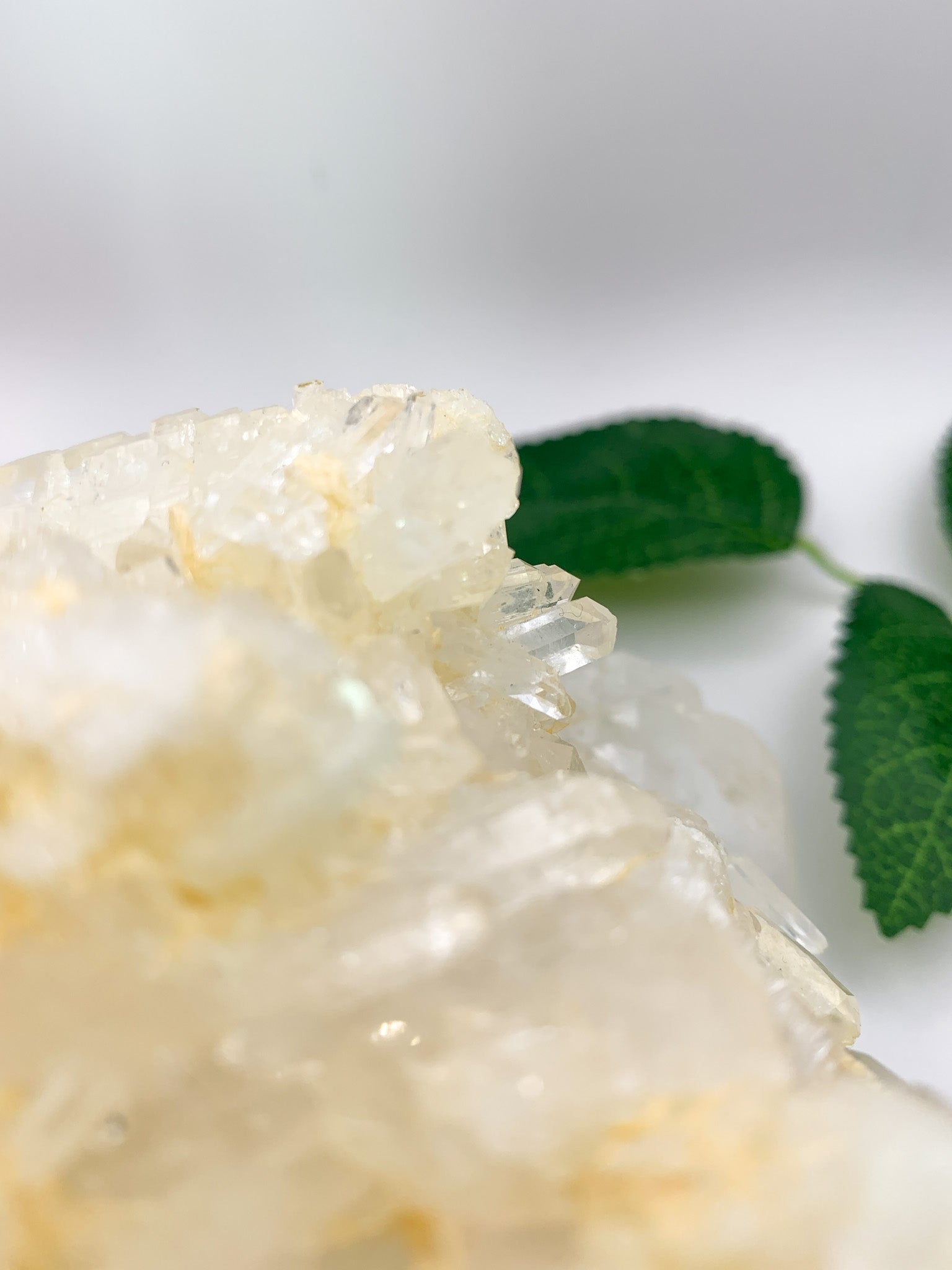 Icy Himalayan Quartz Cluster - Crystal Love Treasures