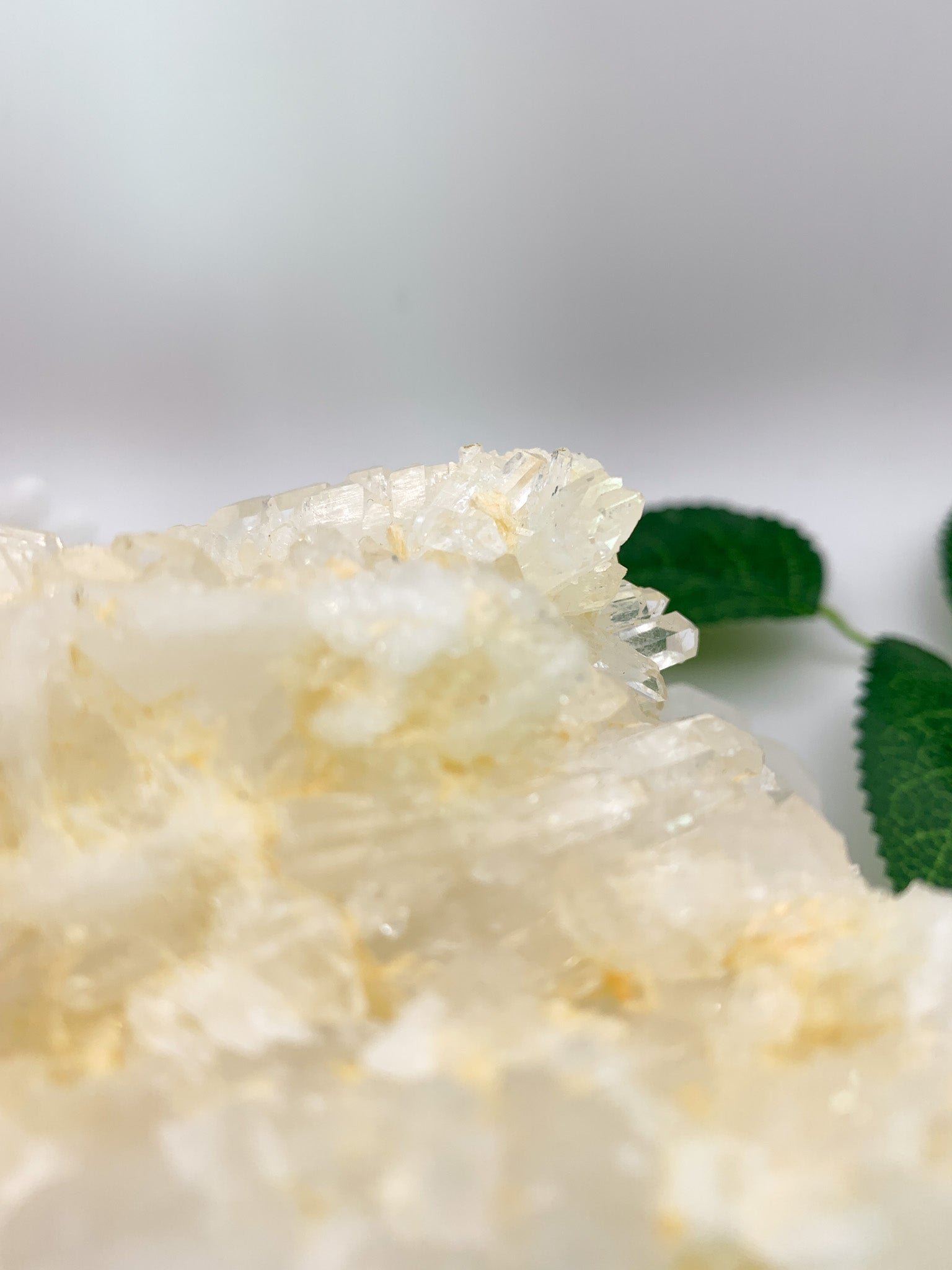 Icy Himalayan Quartz Cluster - Crystal Love Treasures