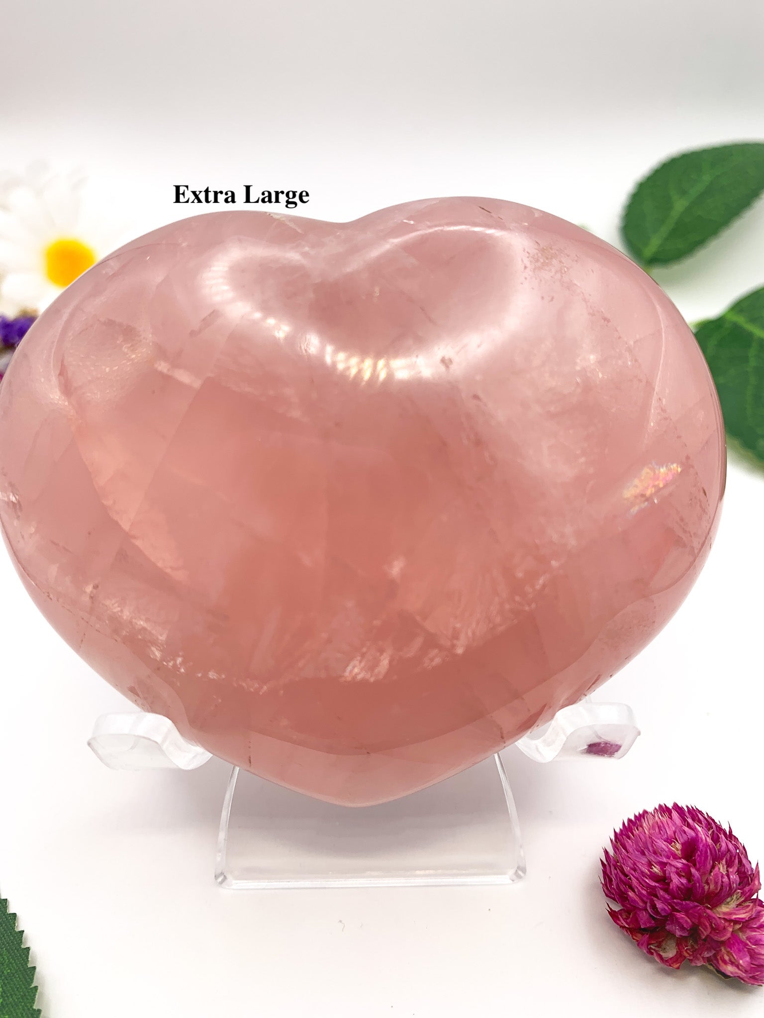 Rose Quartz Heart w/ star asterism - Crystal Love Treasures
