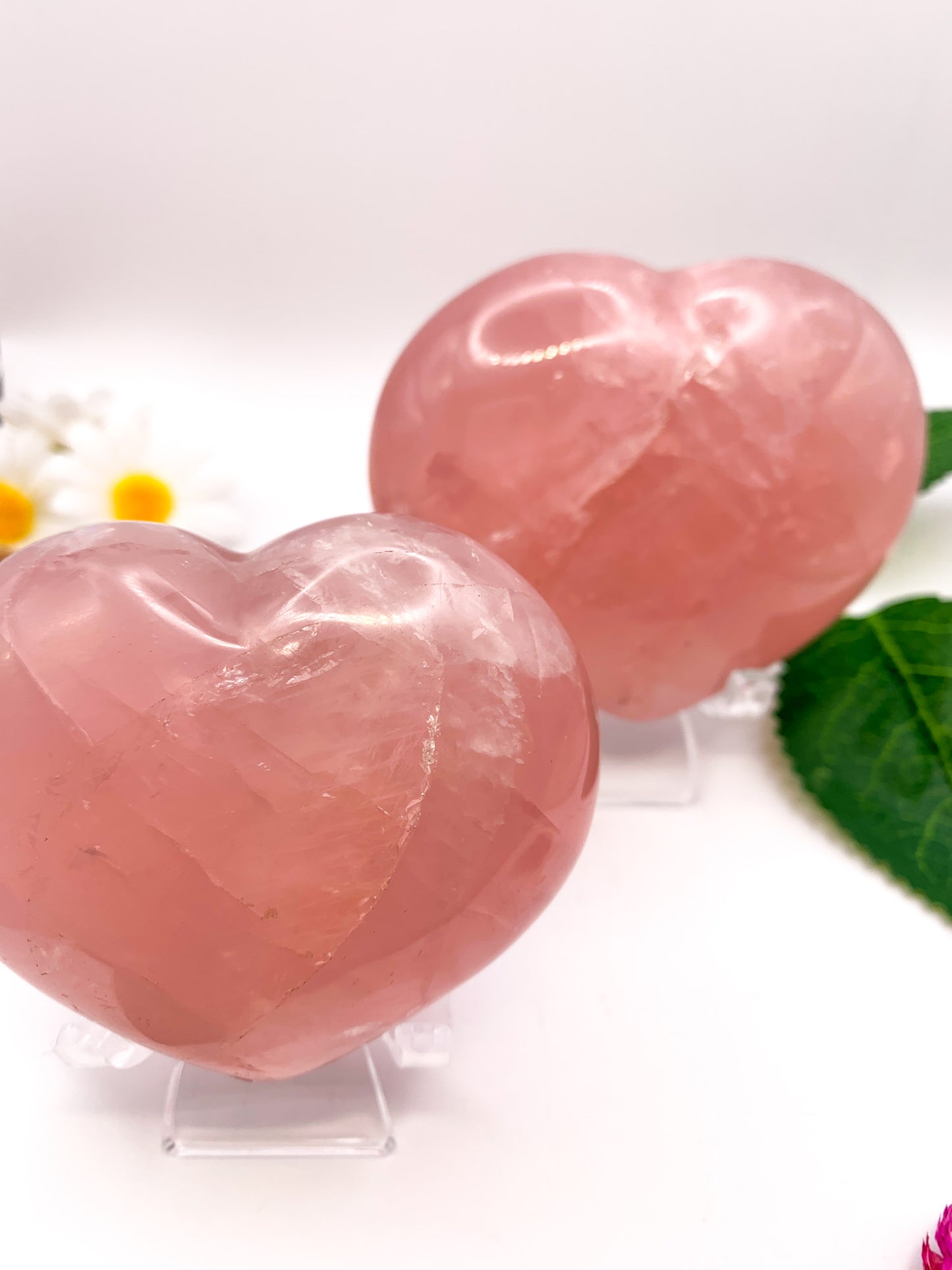 Rose Quartz Heart w/ star asterism - Crystal Love Treasures