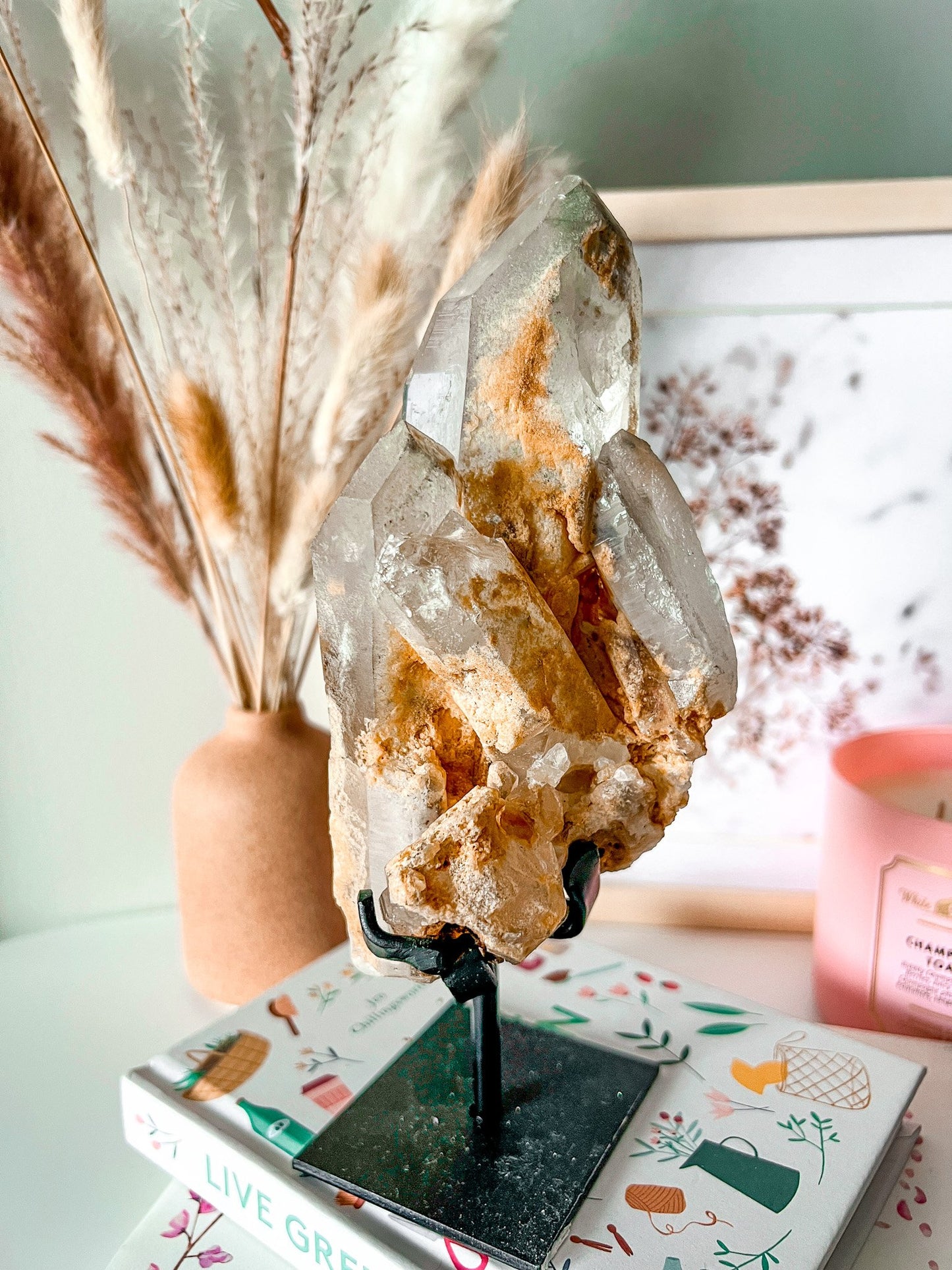 Raw Lemurian Quartz Crystal Point on Metal Stand
